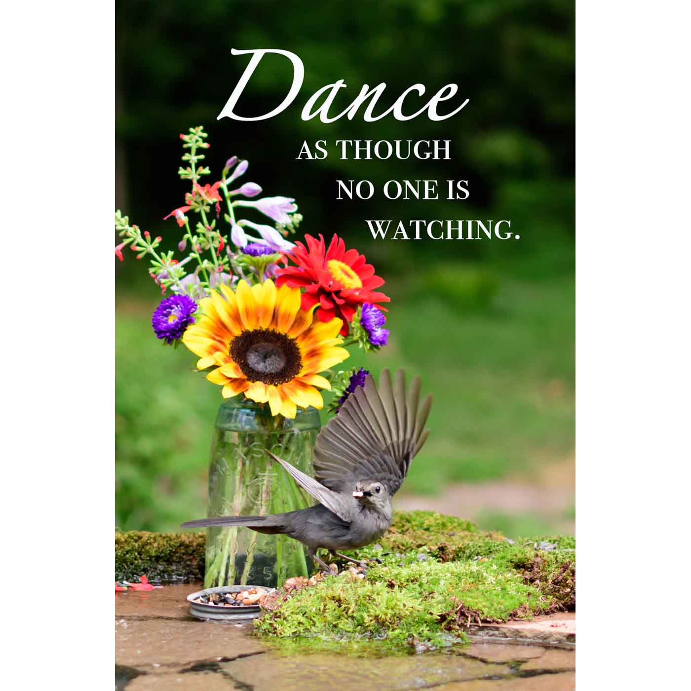 Dance. No One is Watching