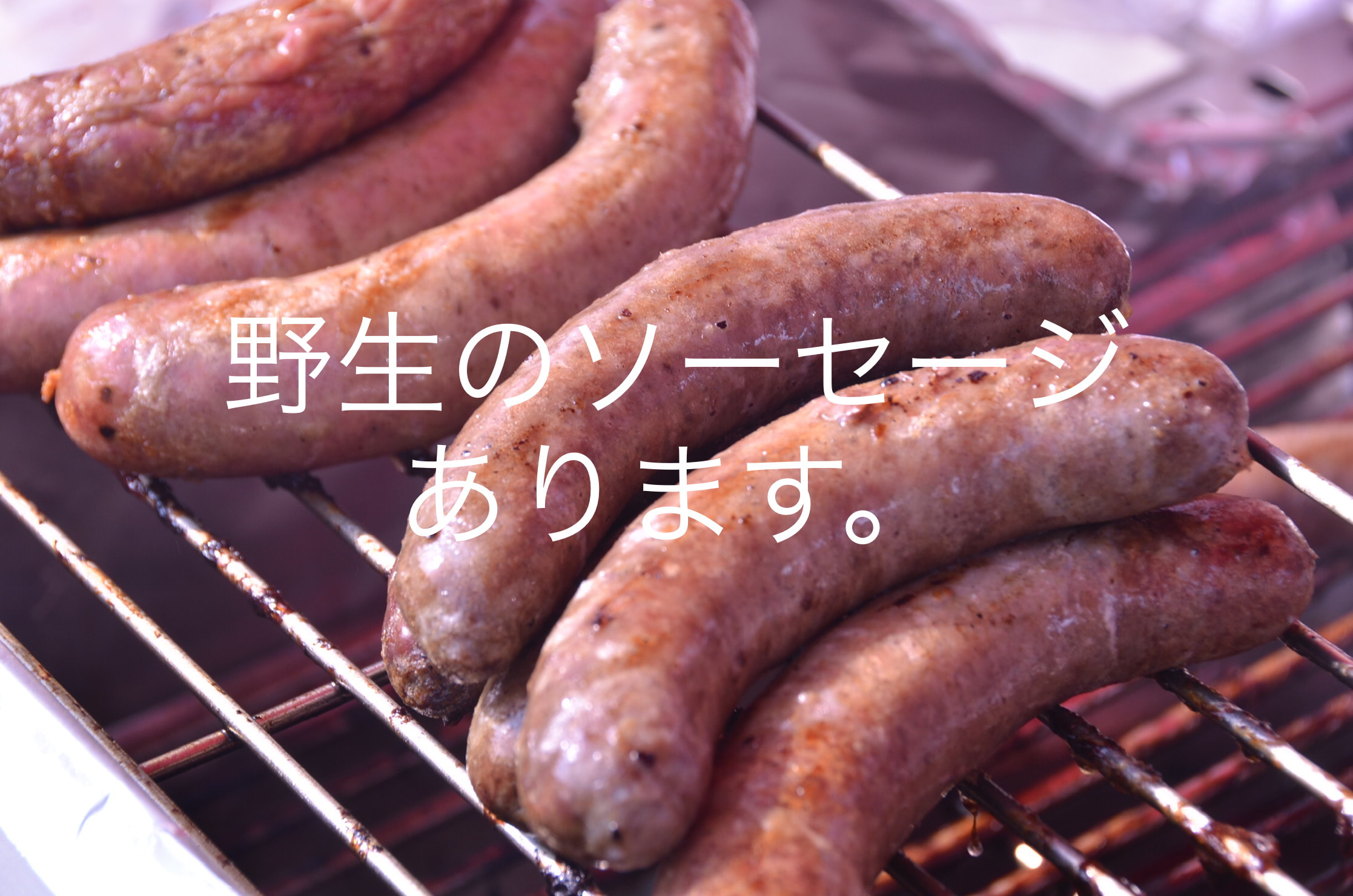 野生のソーセージ（イノシシ） 生