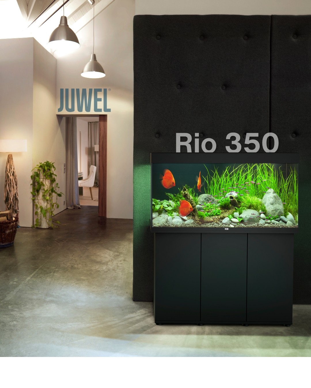 Juwel Rio Aquarium System