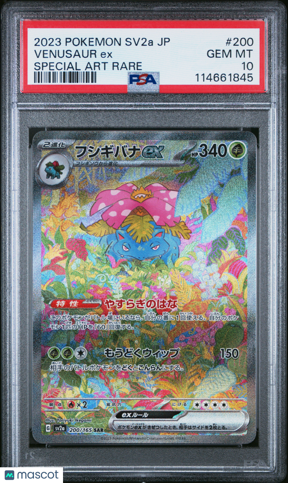 2023 Pokemon Japanese Sv2a-Pokemon 151 Venusaur EX Japanese SAR PSA 10 #200