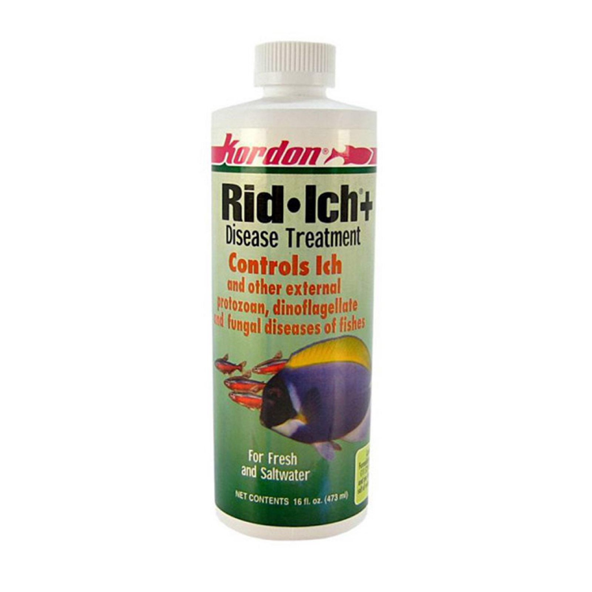 Kordon Rid ICH Plus Disease Treatment for Freshwater
