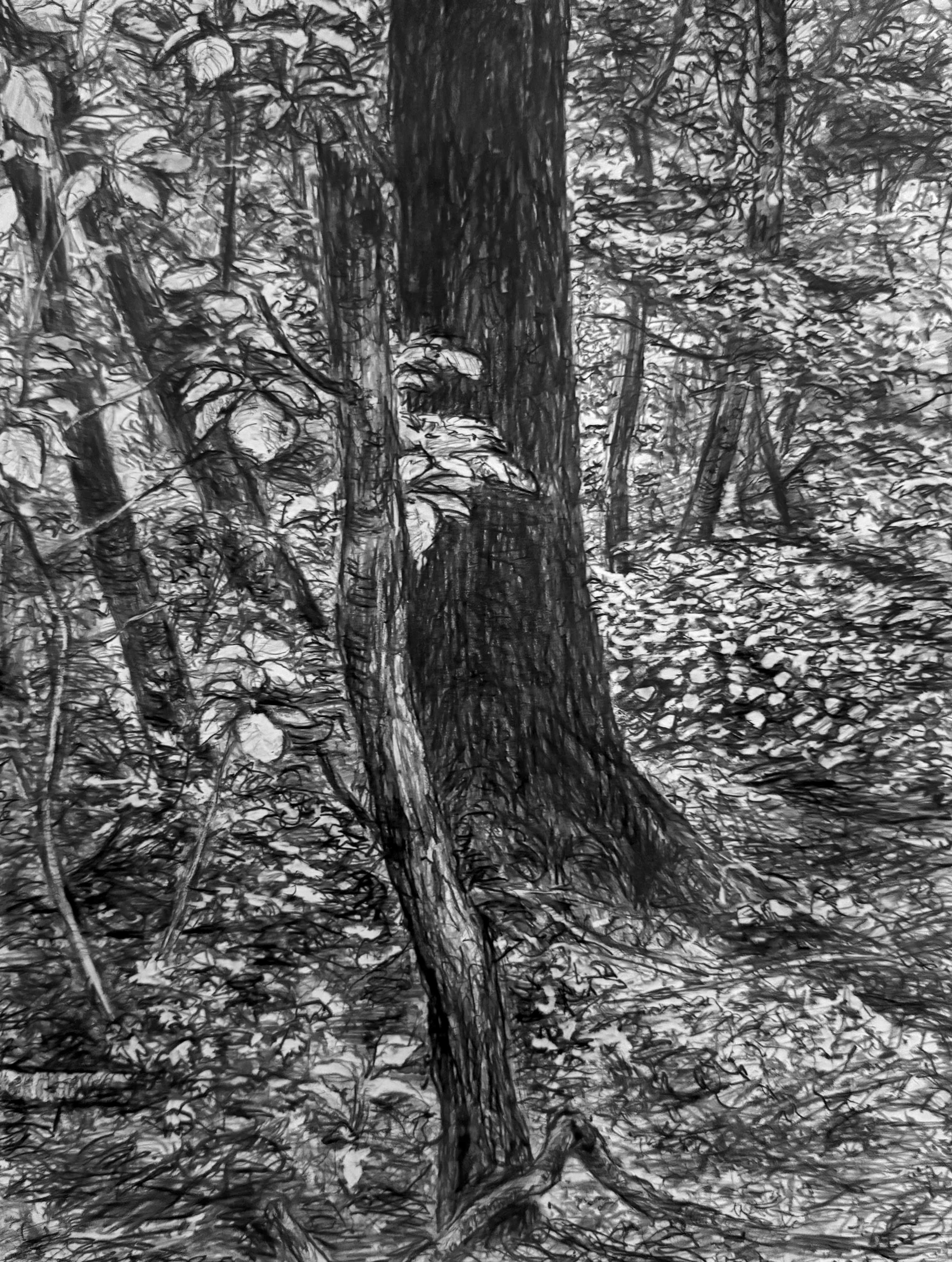 Luis Serrano - Day's End