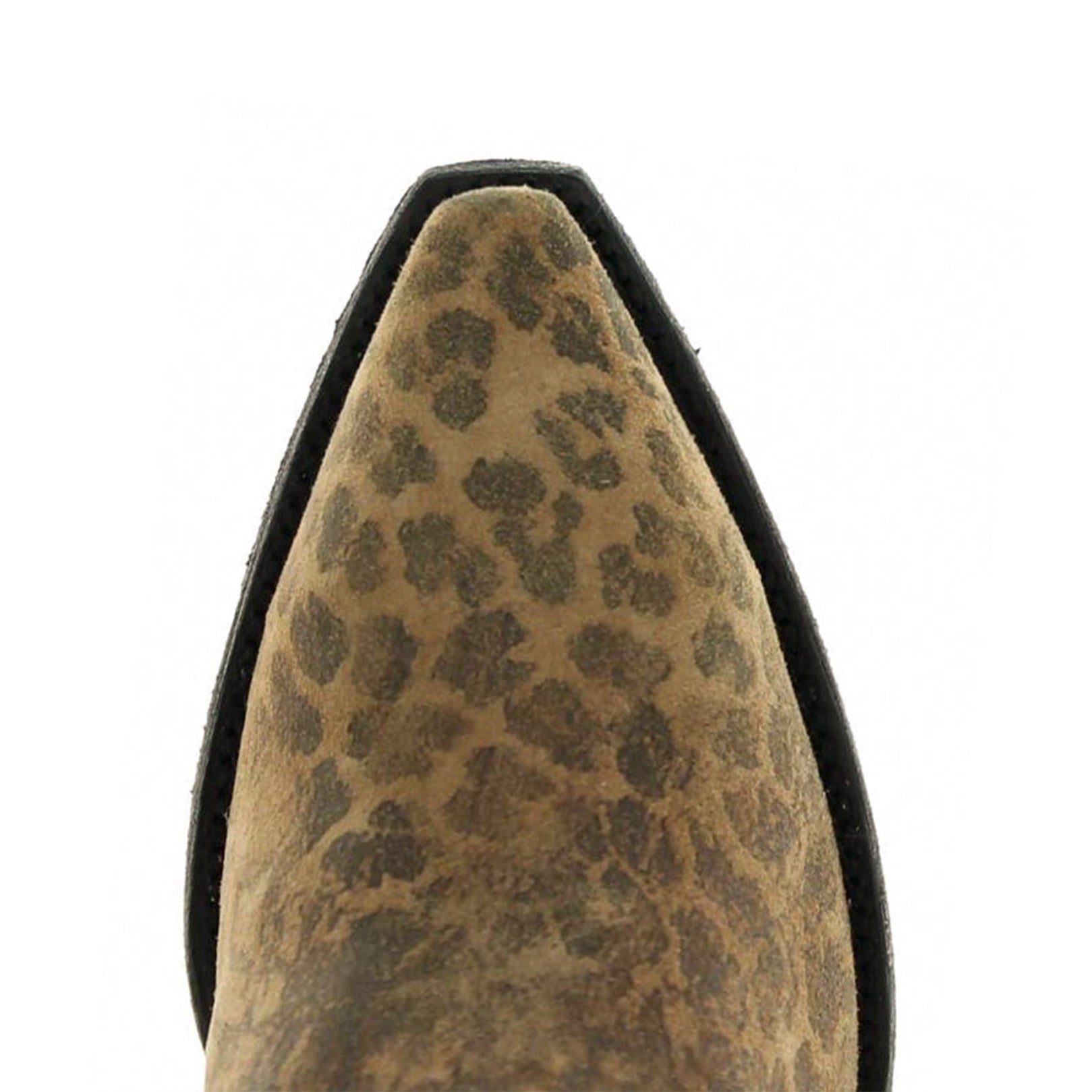 Leopardito - PRE ORDER NOW