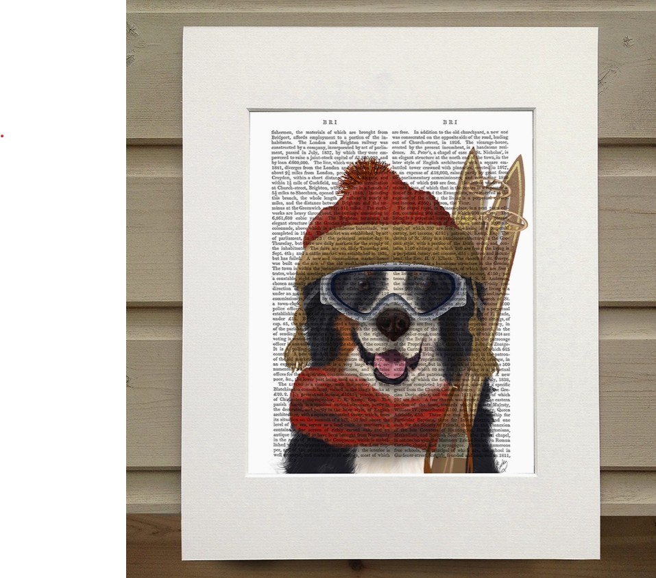 Bernese Mountain Dog Book Print