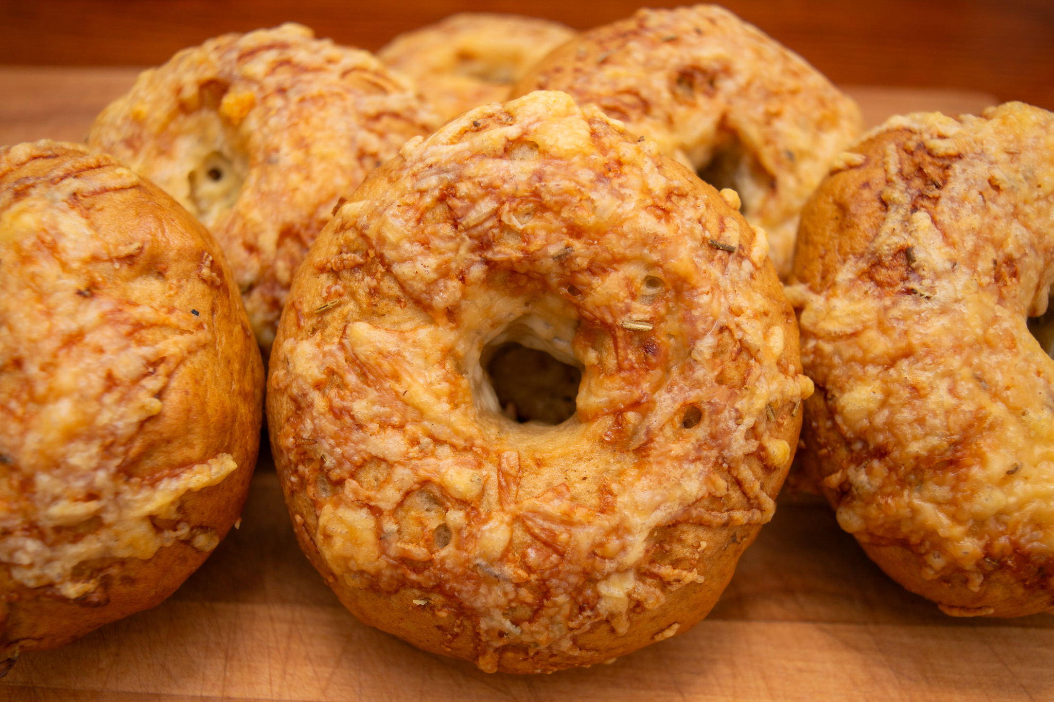 Cheddar Bagel