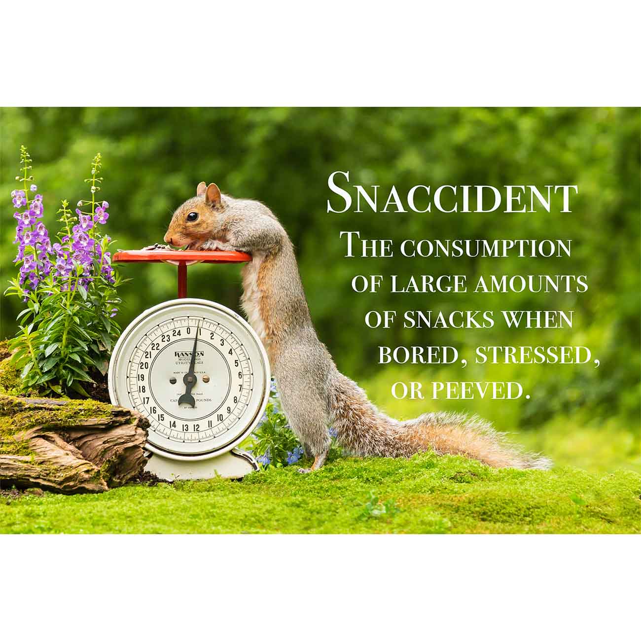 Snaccident