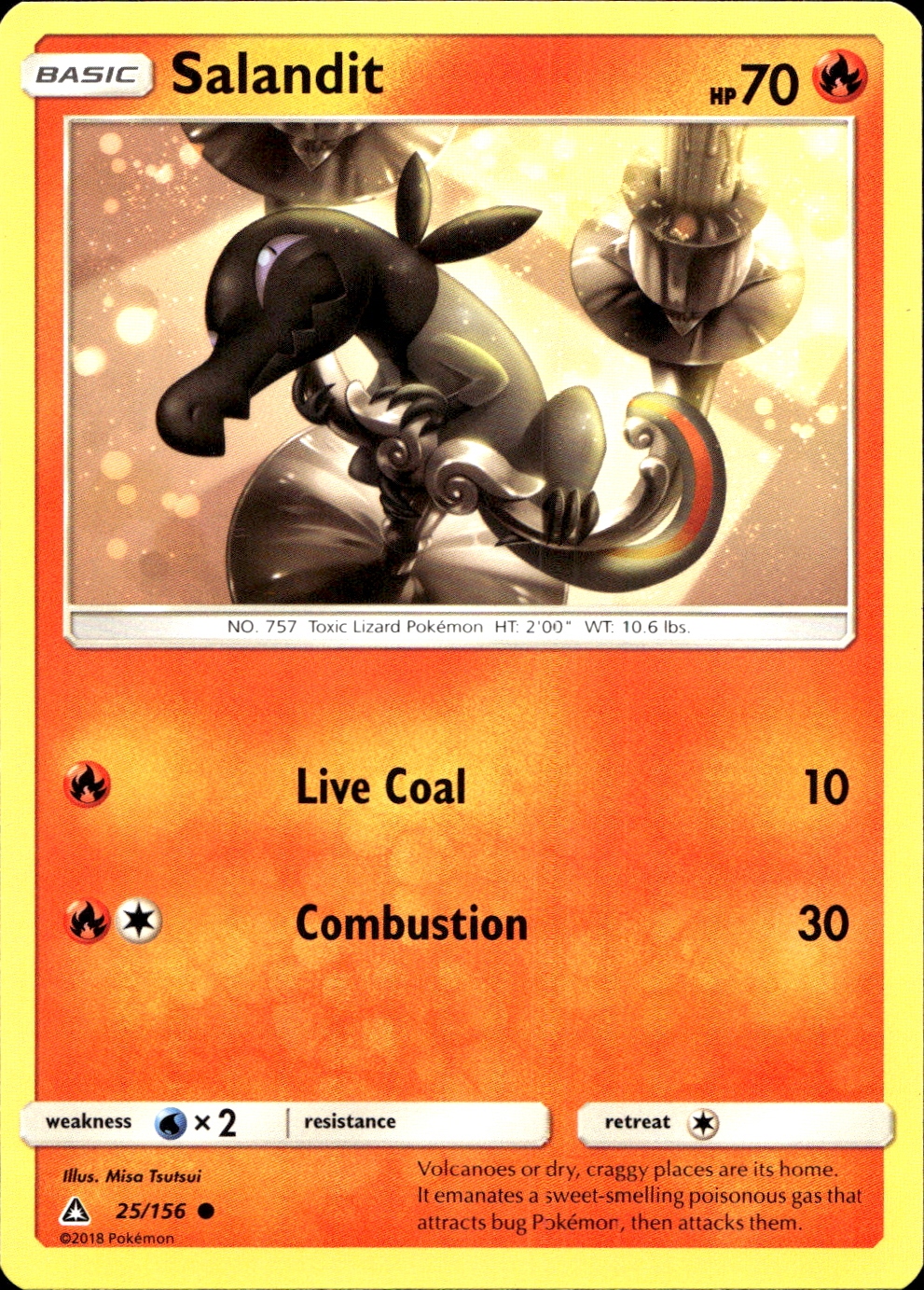 Salandit - SM5 25