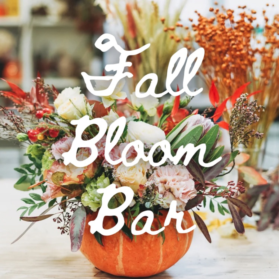 Fall Bloom Bar