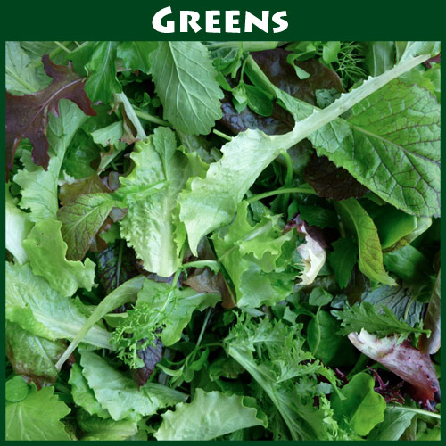 Heather’s Salad Mix