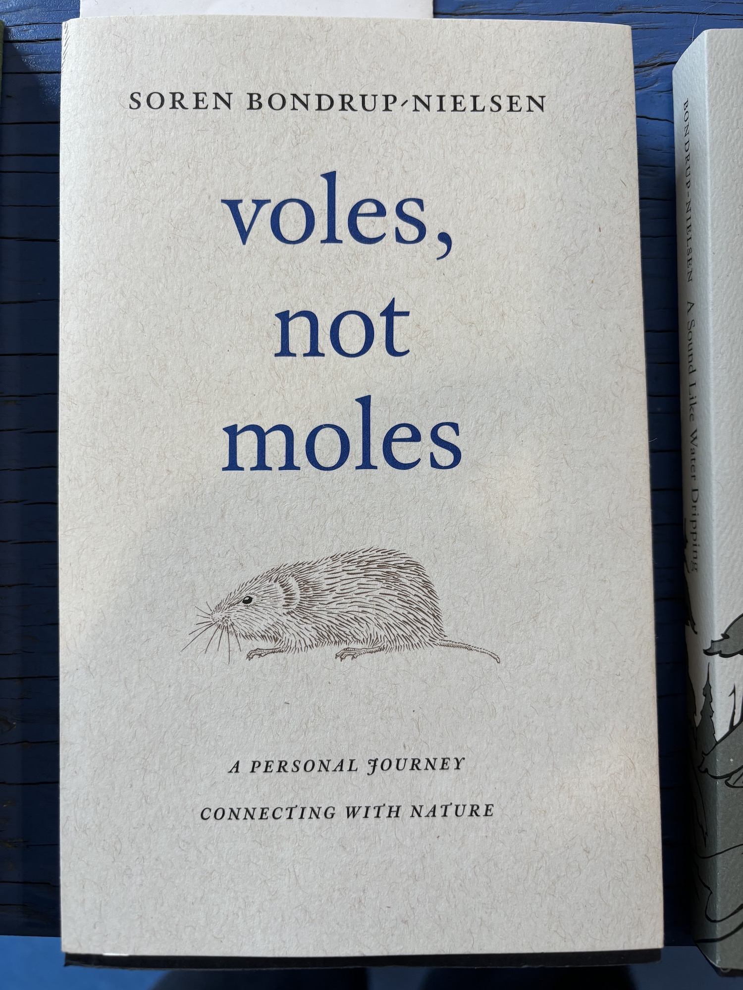 voles, not moles