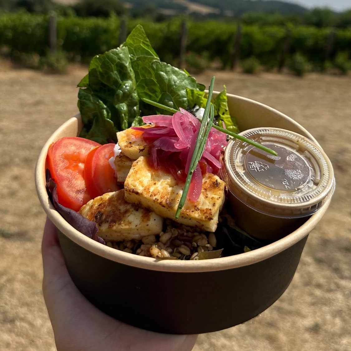 Halloumi Salad