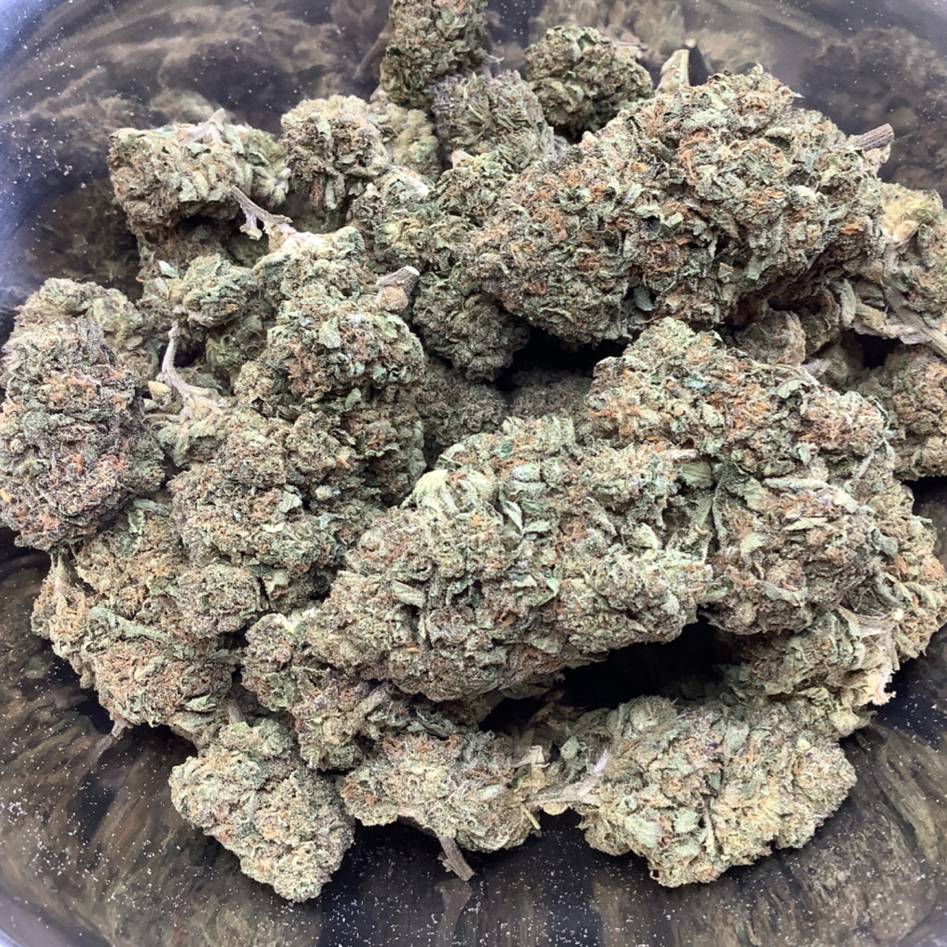 Obama Runtz 24.65% THCA - Regular