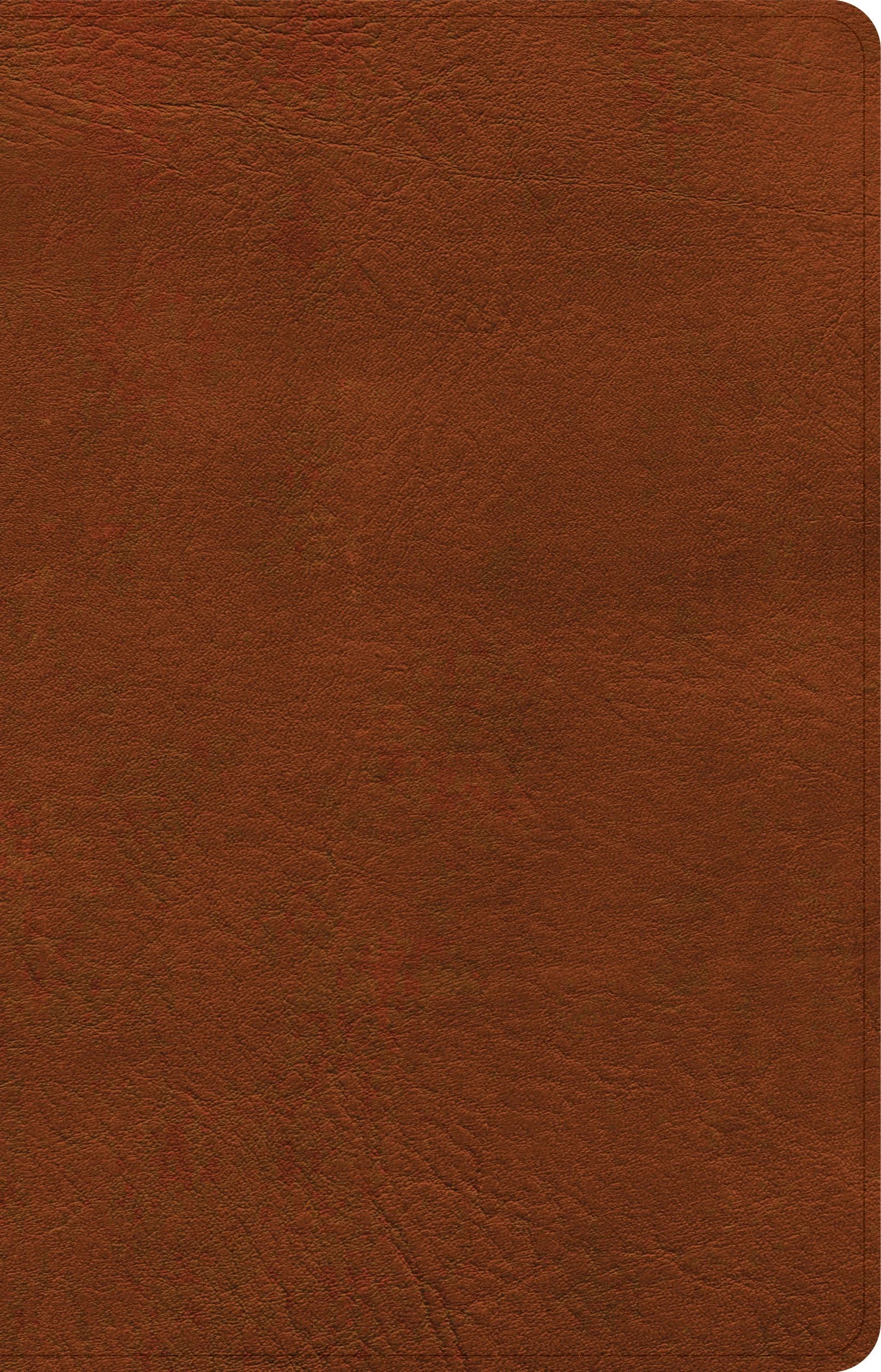 NASB Large Print Personal Size Reference Bible, Burnt Sienna LeatherTouch, Red Letter, Presentation Page, Cross-References, Full-Color Maps, Easy-to-Read Bible Karmina Type by Holman Bible Publishers