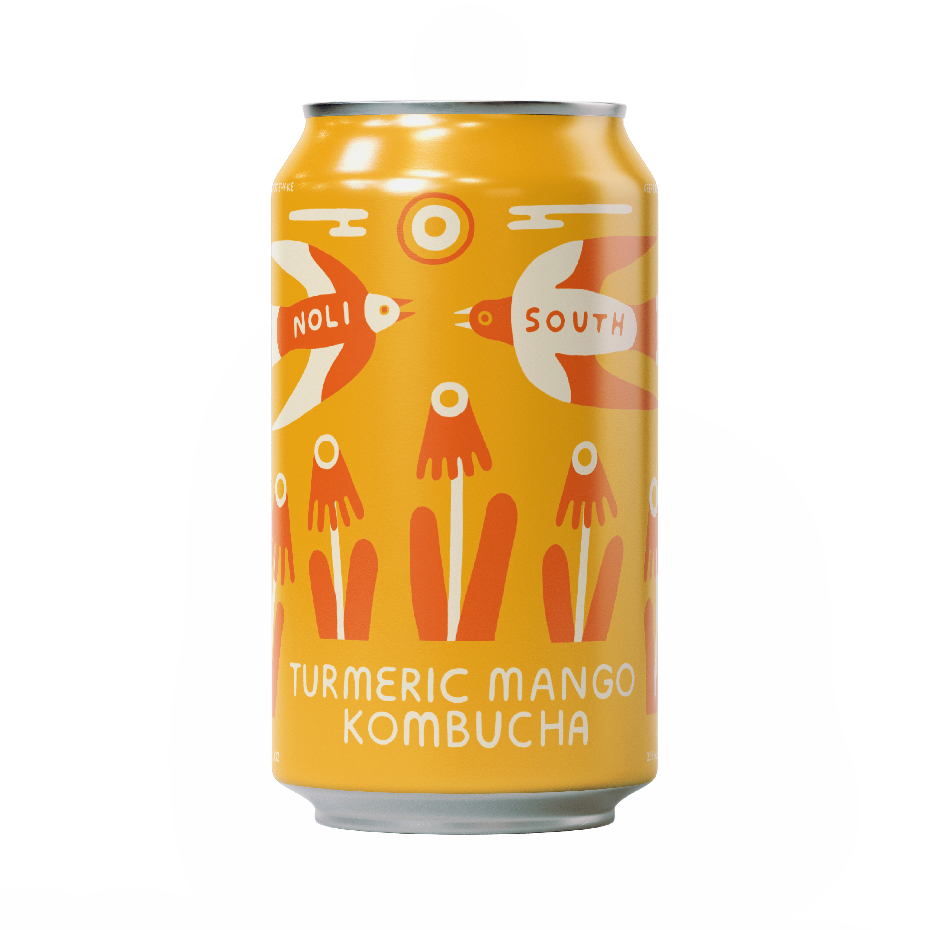 Noli South Kombucha