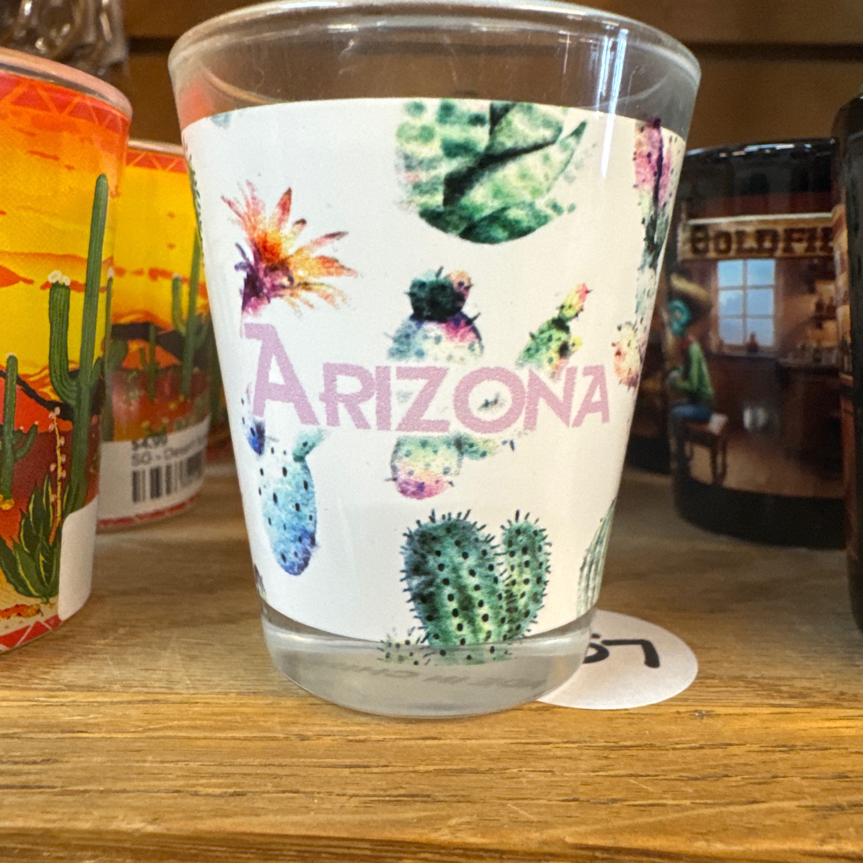 SG/57 - CACTI/SUCCUL