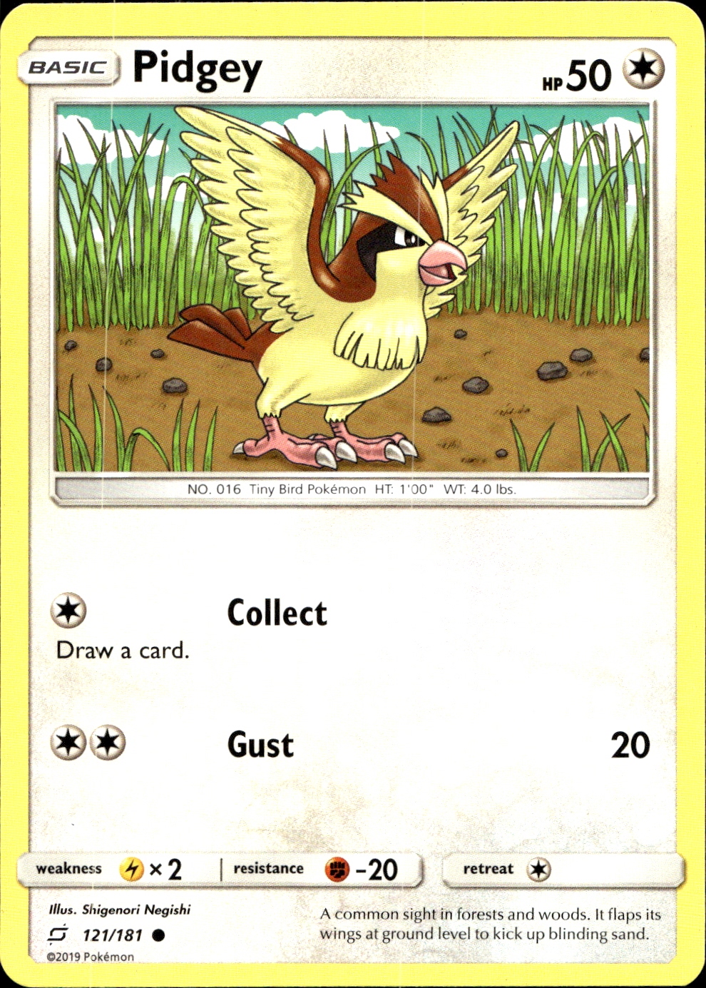 Pidgey - SM9 121