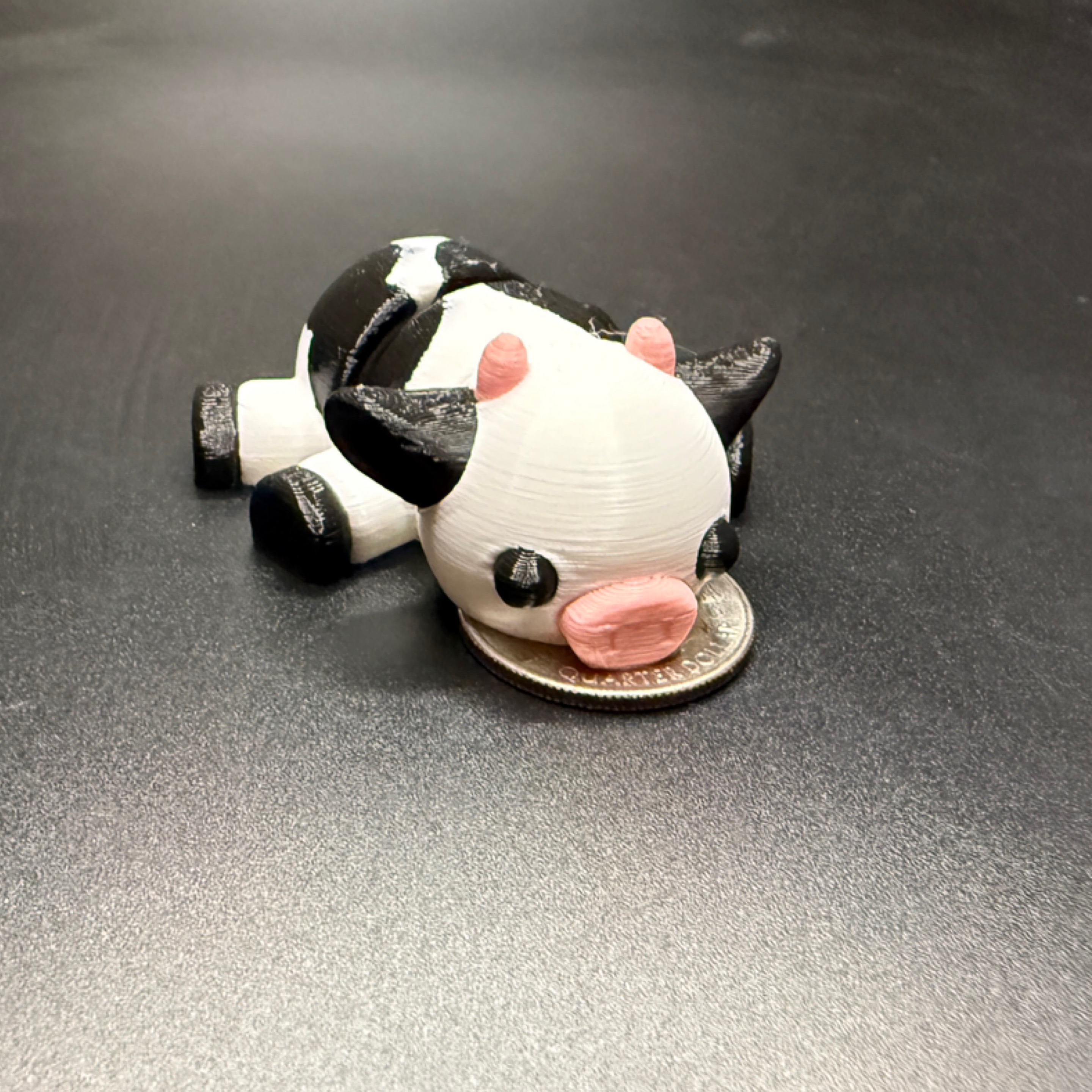 Mini cows