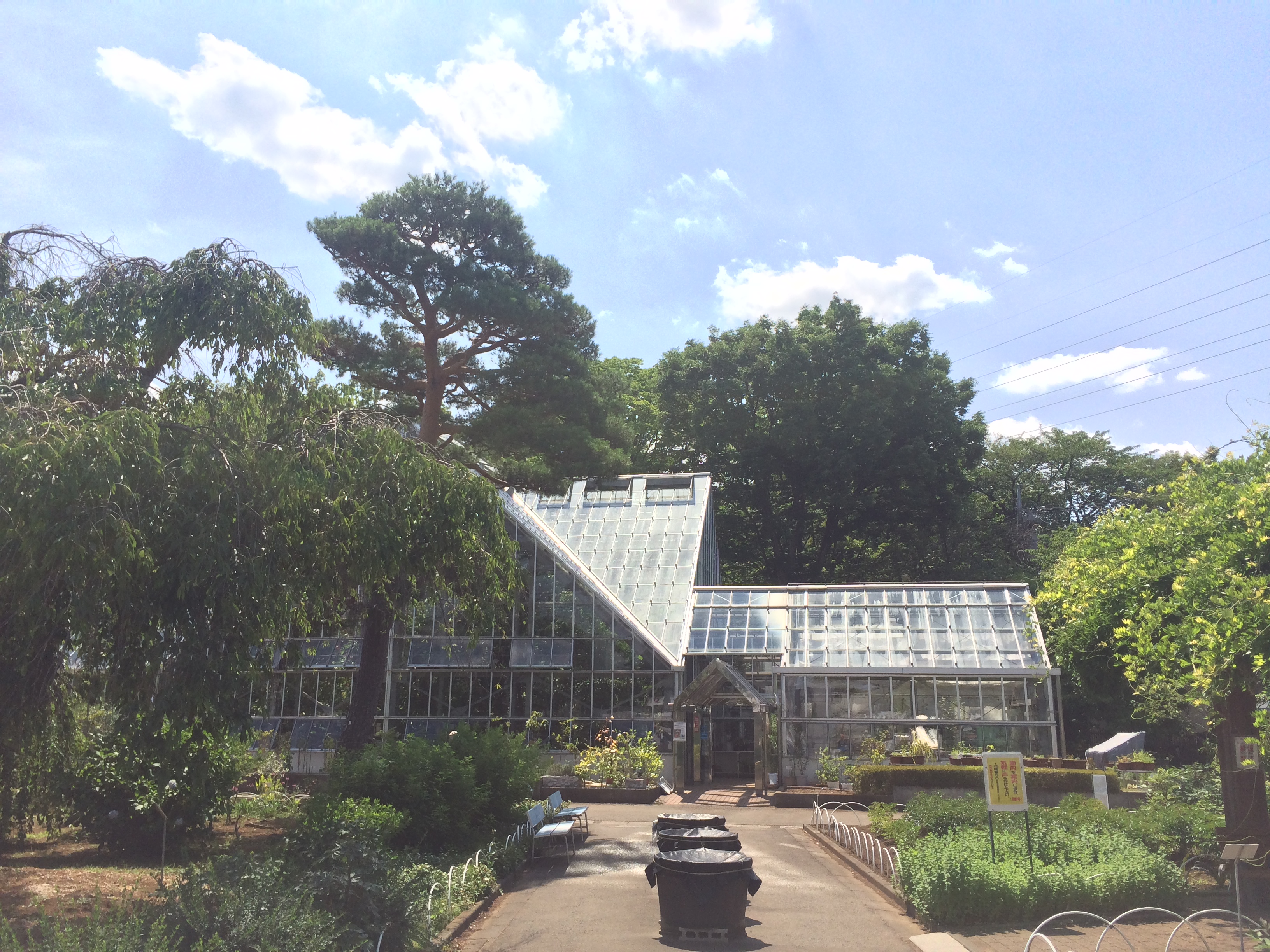 5/4（月）東京都薬用植物園見学会参加チケット