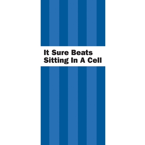 P-33 It Sure Beats Sitting in a Cell