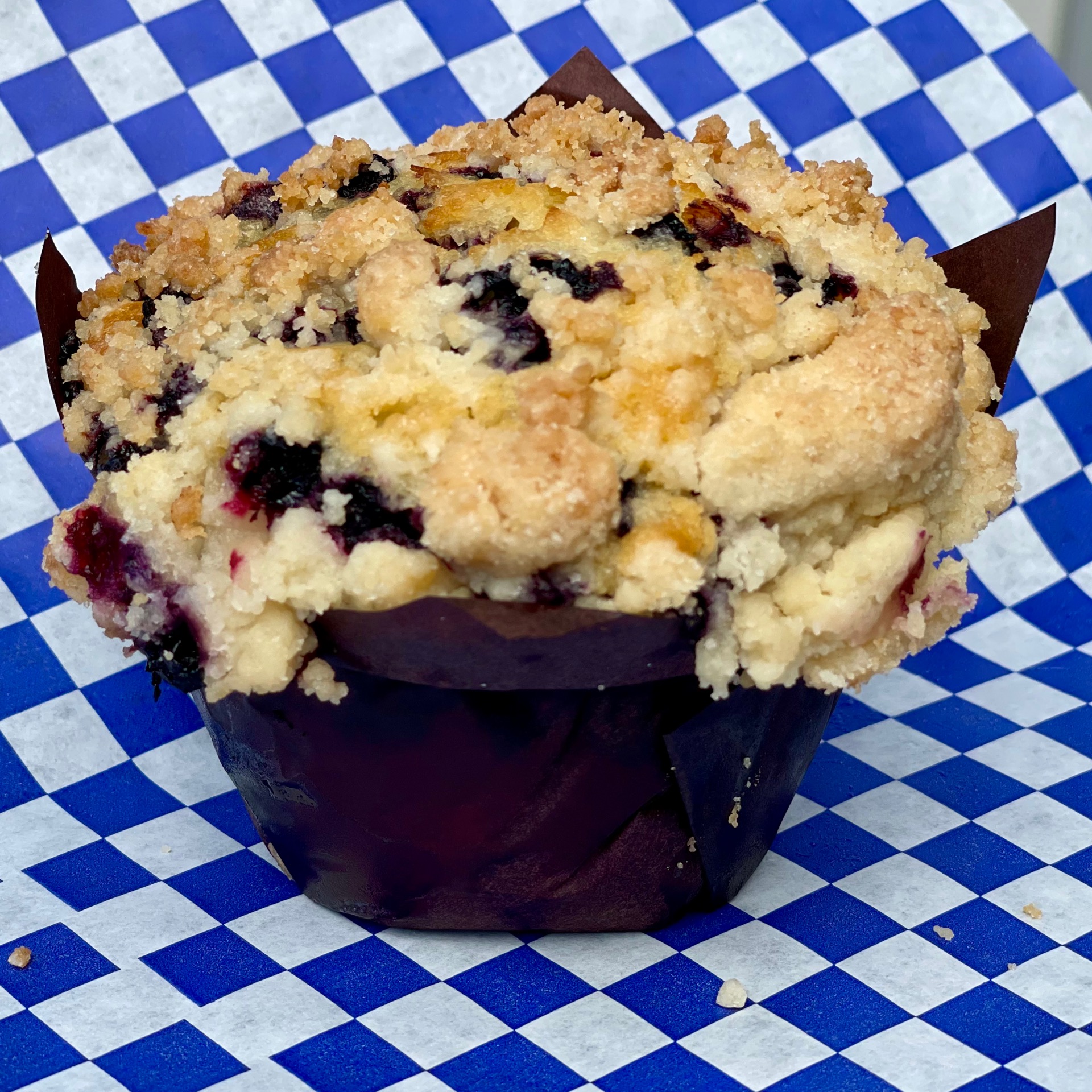Blueberry Muffin
