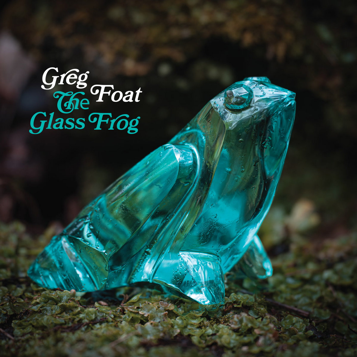 Greg Foat - The Glass Frog by Unknown Artist - View 1