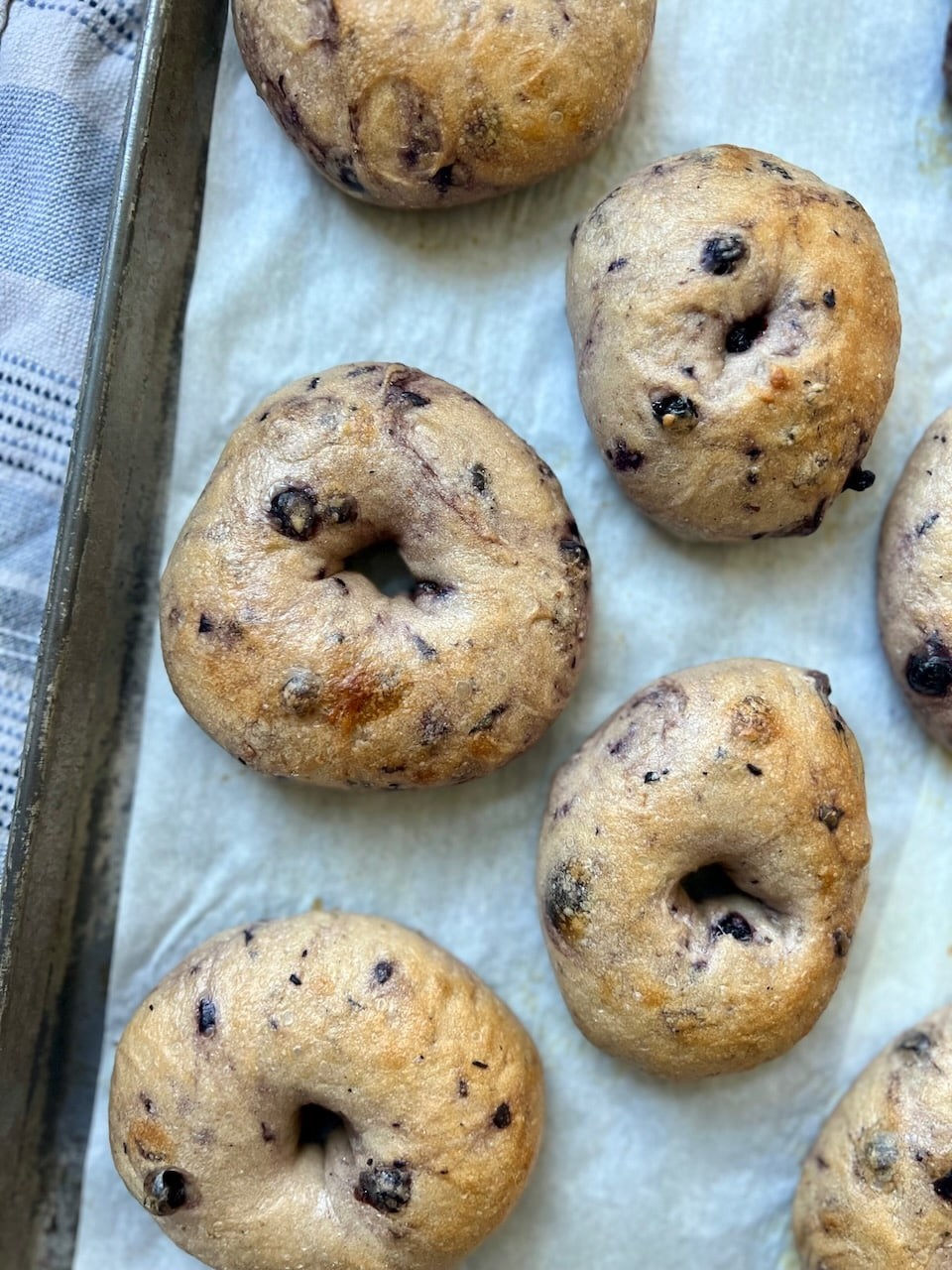 Photo of Blueberry bagels