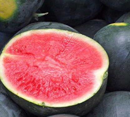 Watermelon - Black Diamond Seedless
