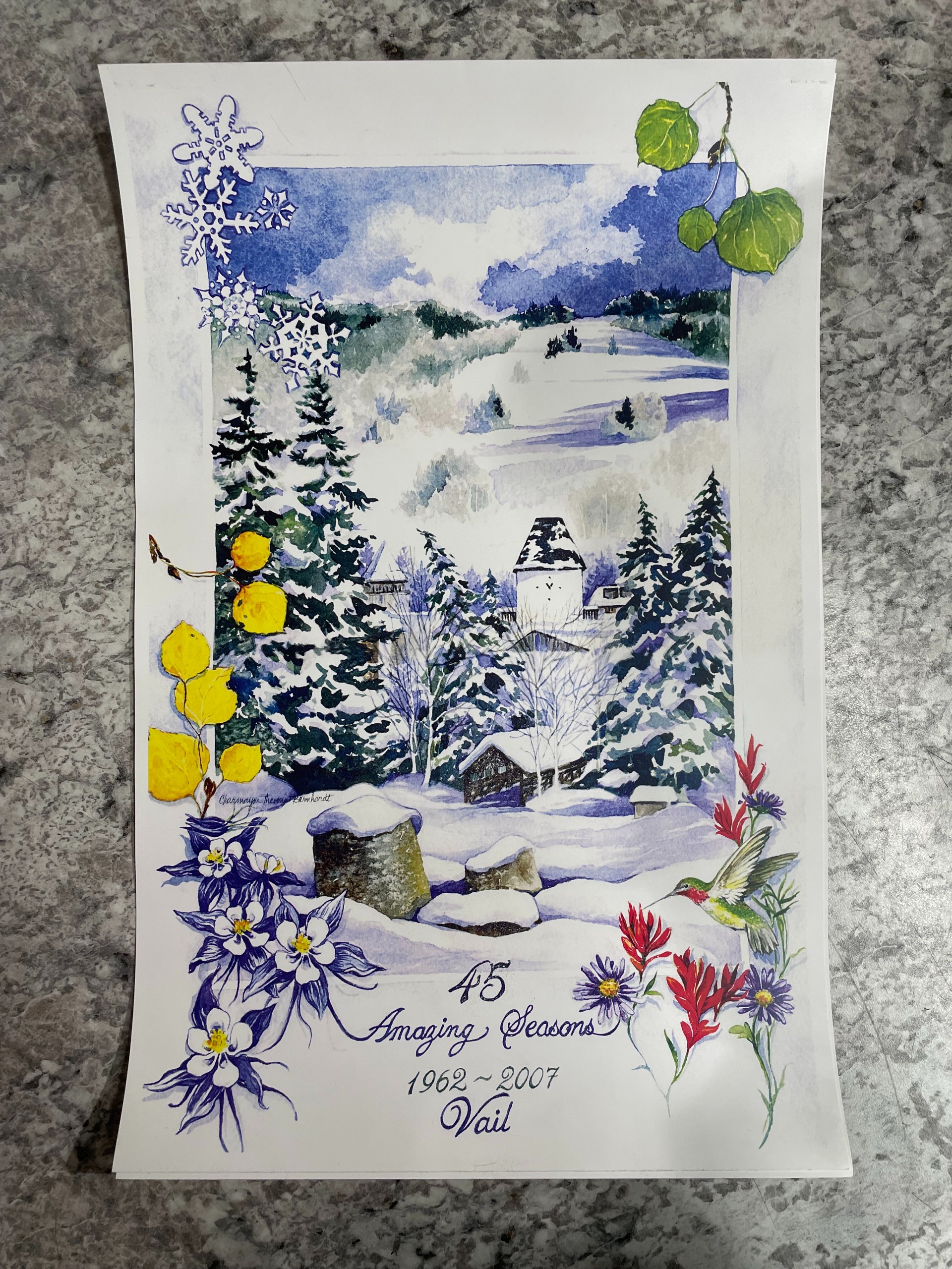 45 Amazing Seasons Vail Poster