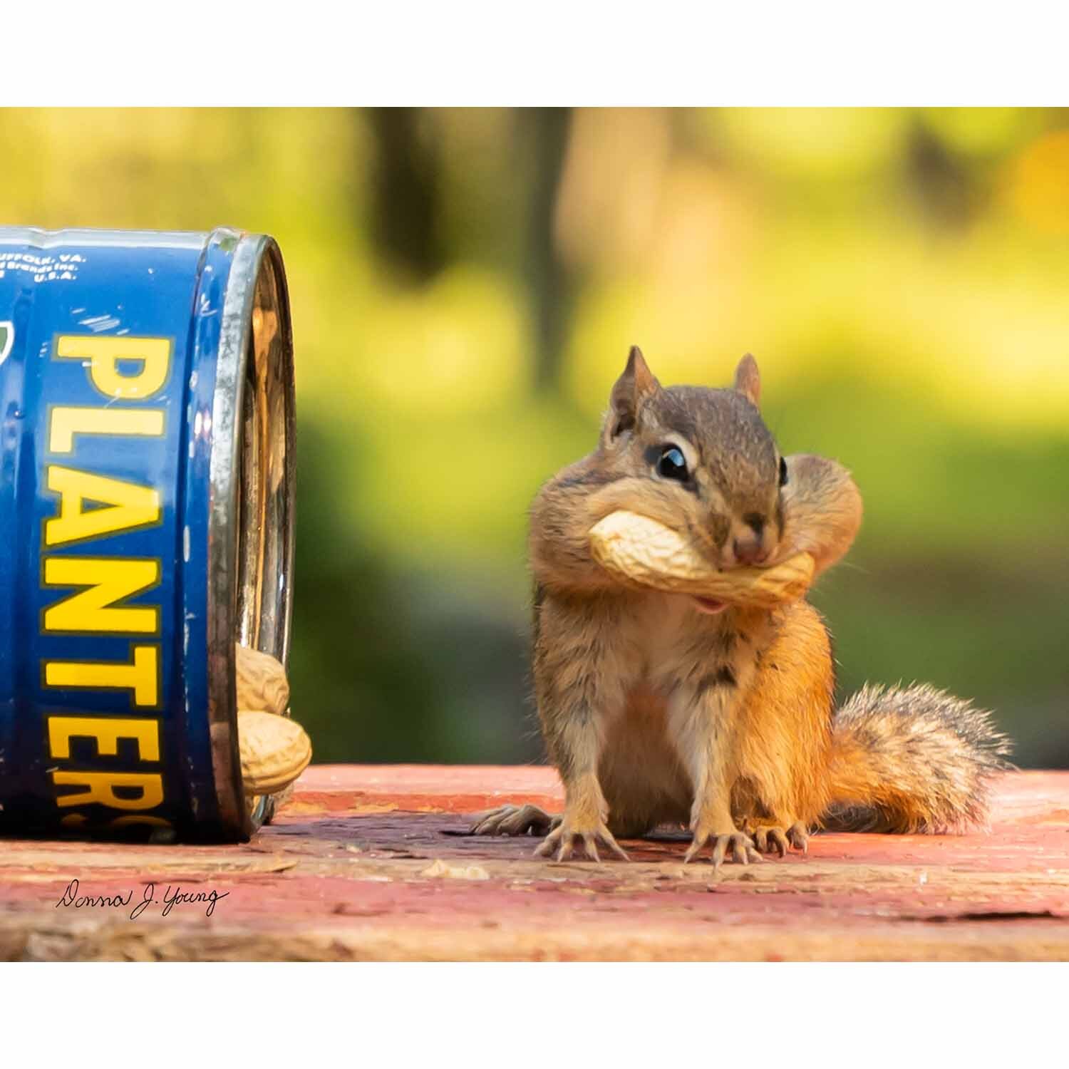Peanutty Smile