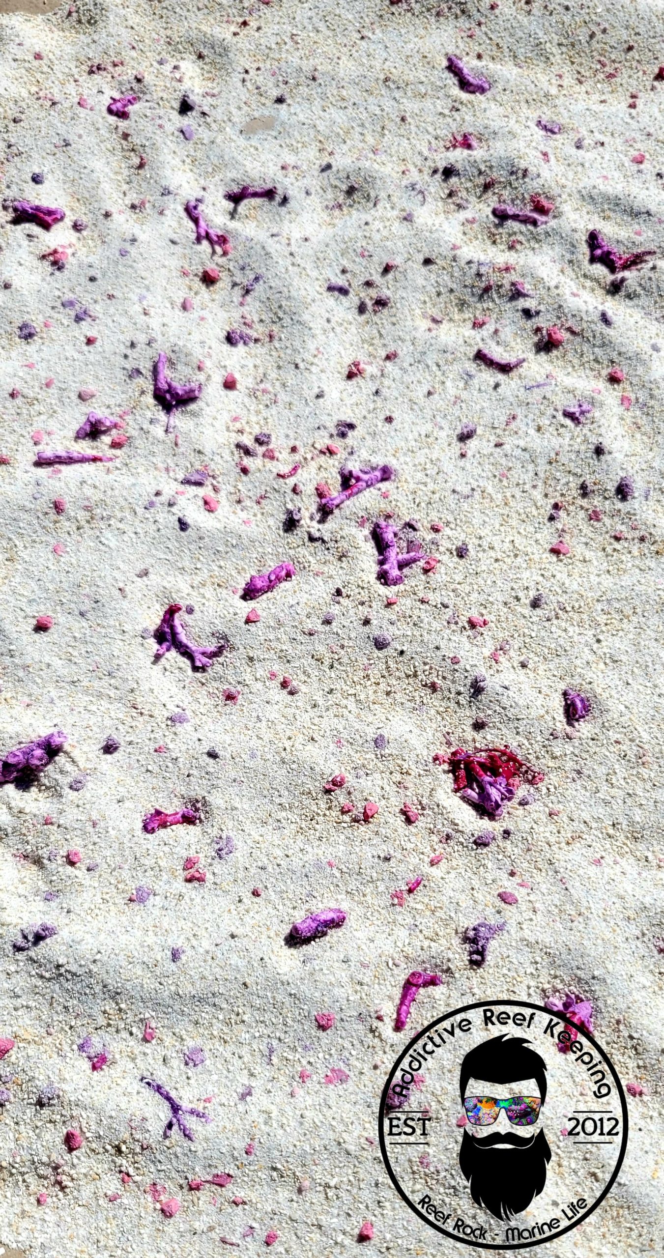 25lb. ARK Ocean Dreams Aragonite Reef Sand – FINE Natural White/Pink Crushed Coral Sand