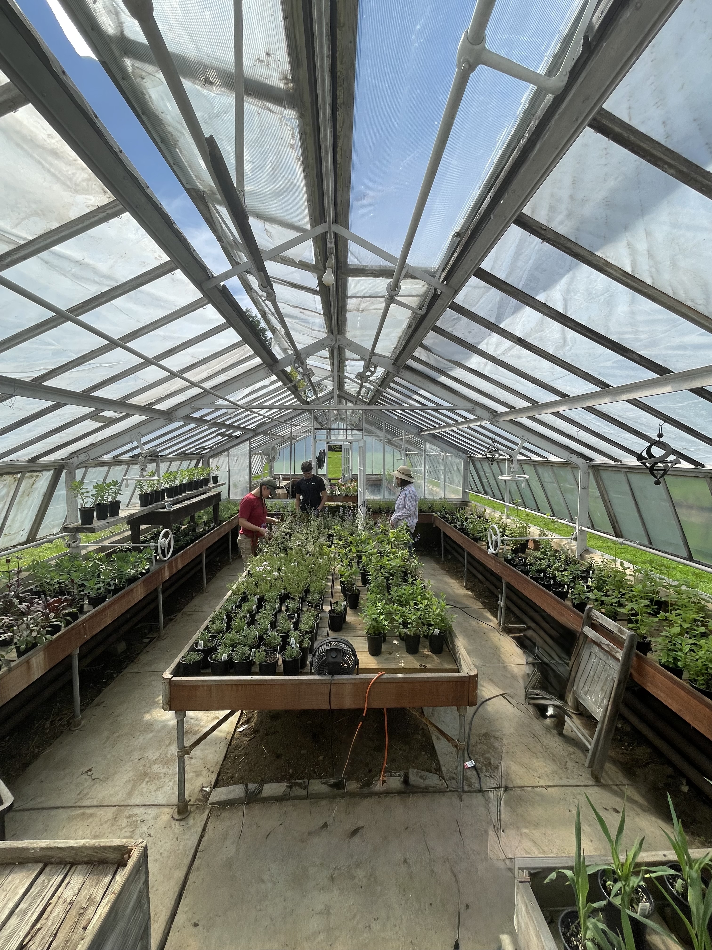 Come Grow the Greenhouse
