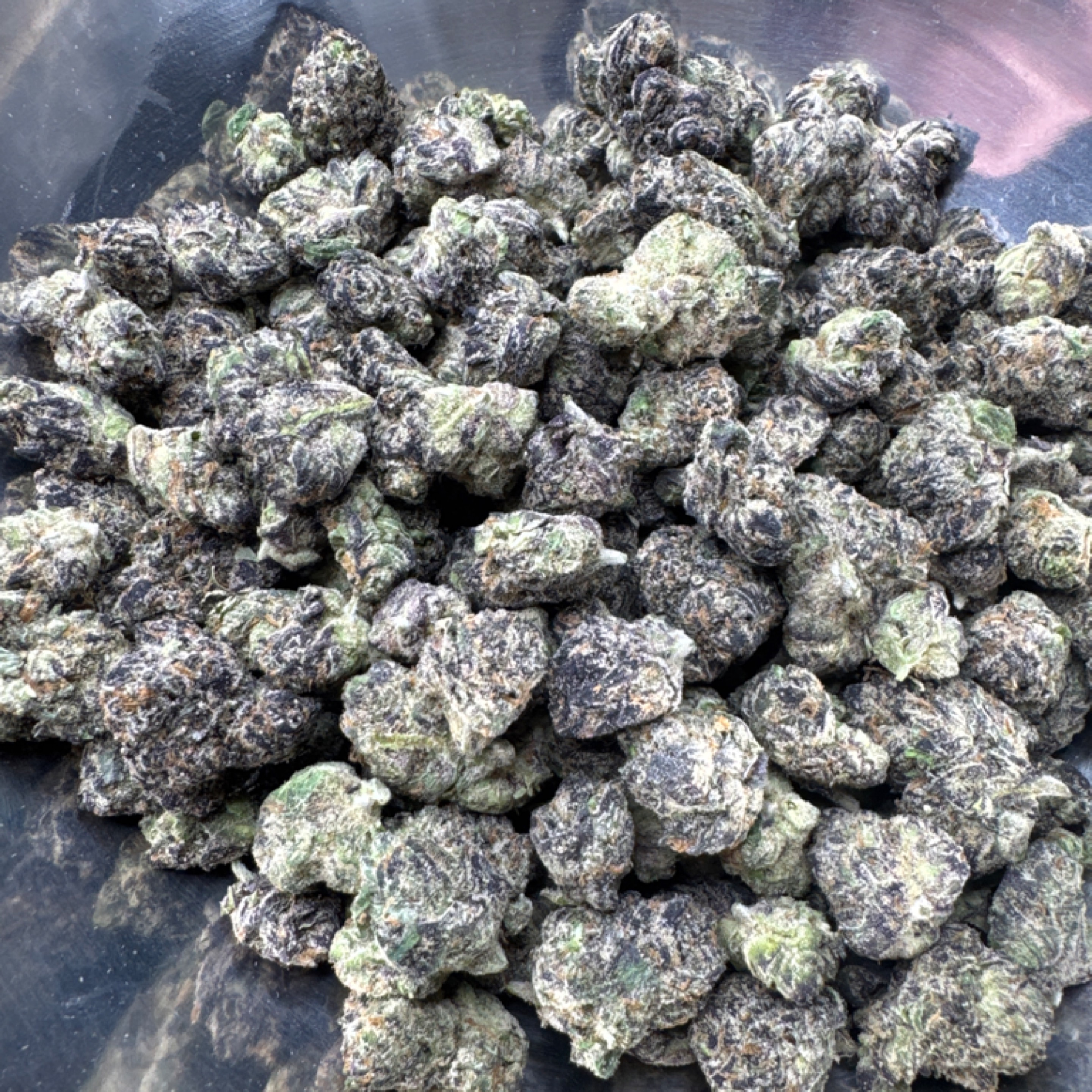 Purple Gas Mintz 30.77% THCA - Regular