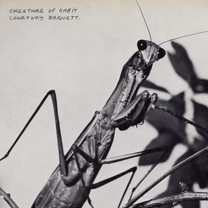 Courtney Barnett - Creature of habit by Unknown Artist - View 1