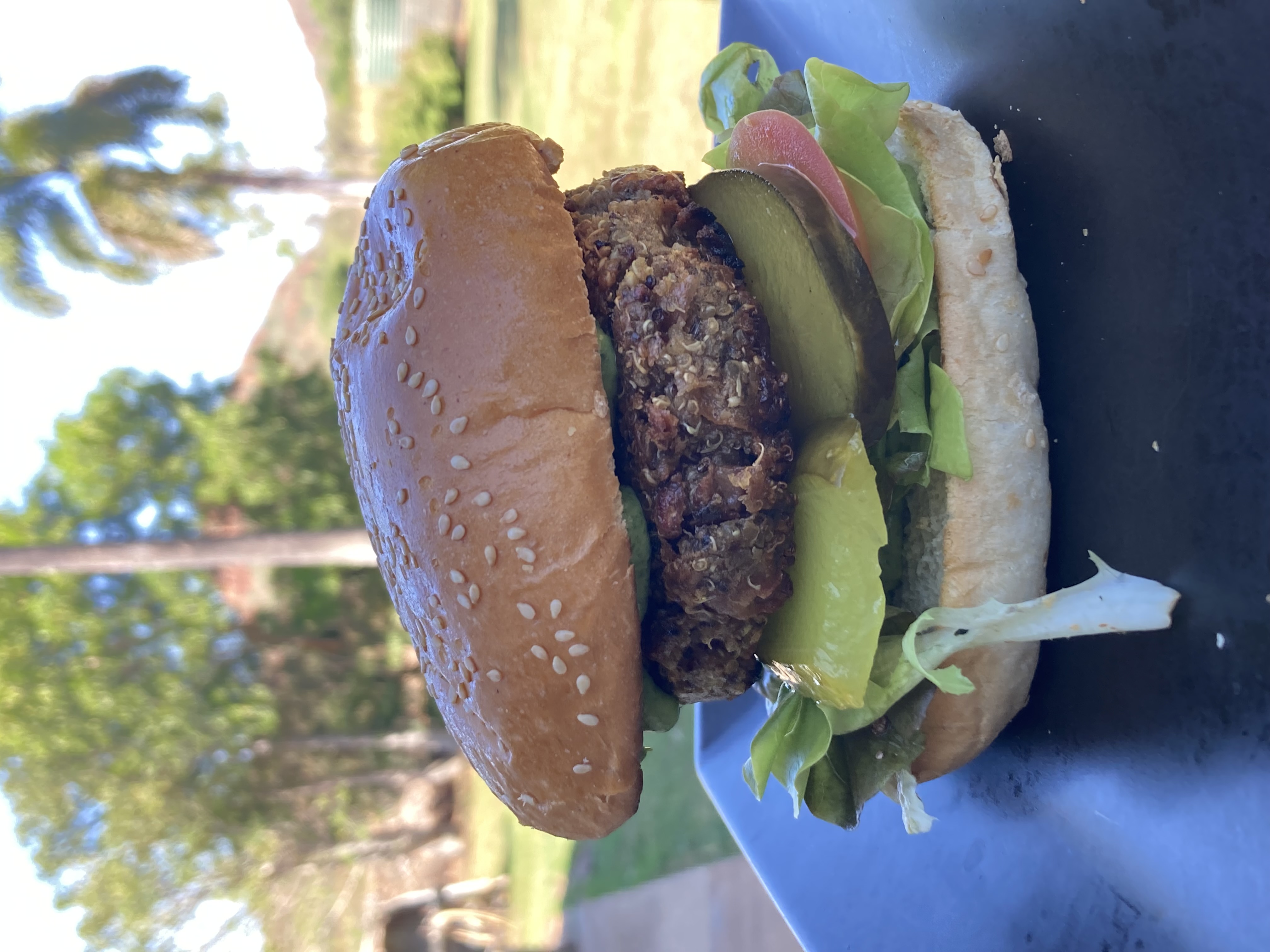 Vegan Burger