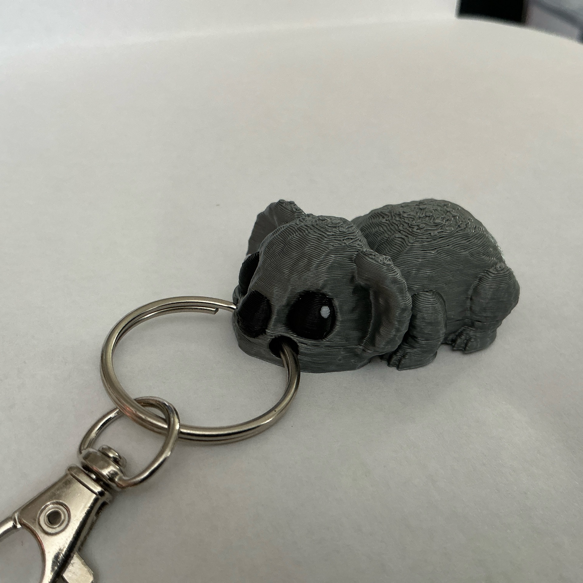 KC Koala