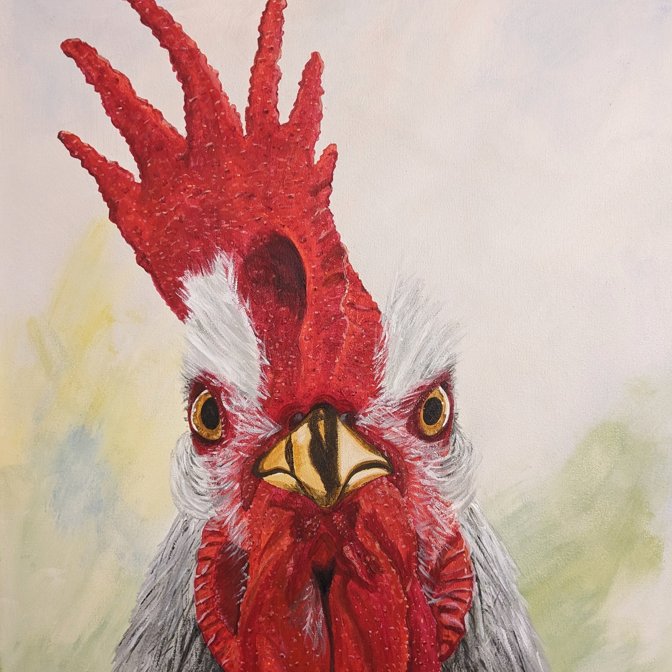 Large (16x20") Single Pet