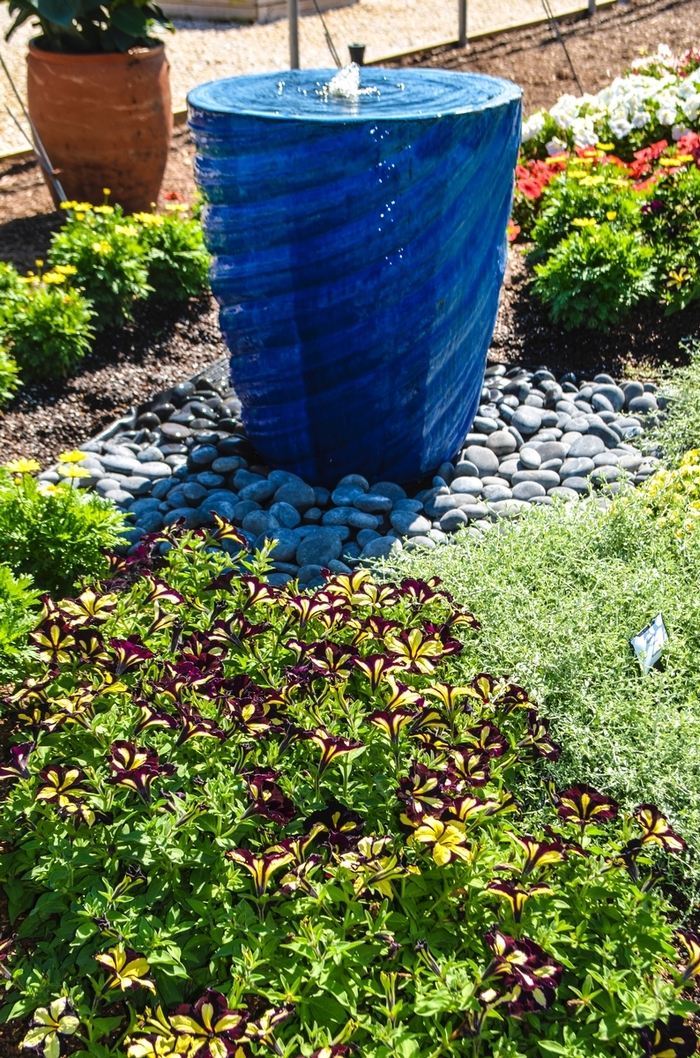 Petunia Crazytunia Tiki Torch 12" HB