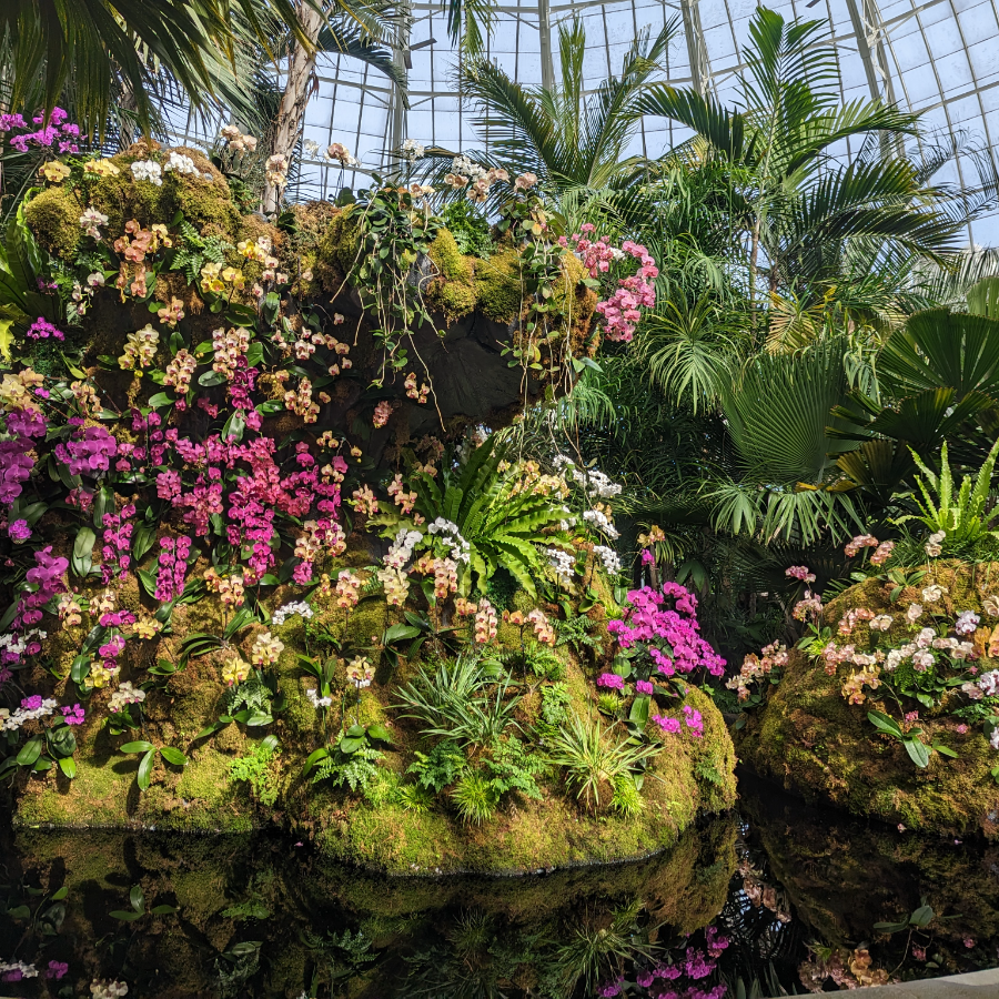 Single Lifetime Membership