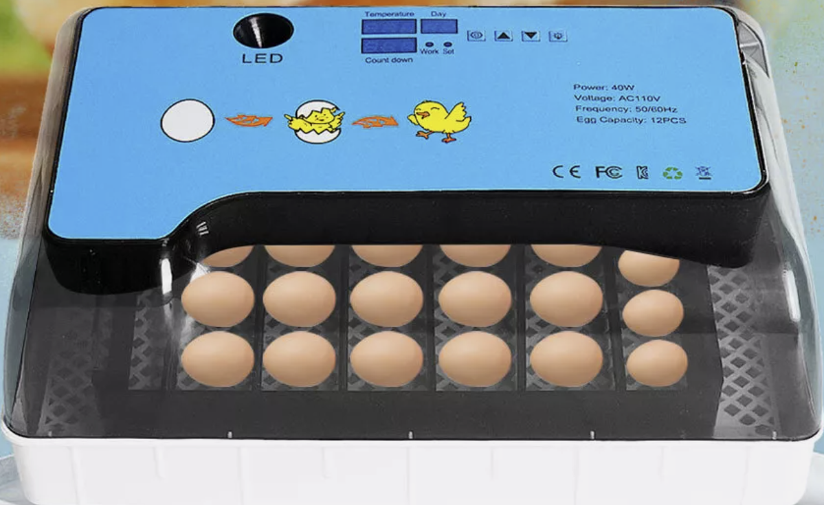 RACH 3: 9 June - 20 July 2026