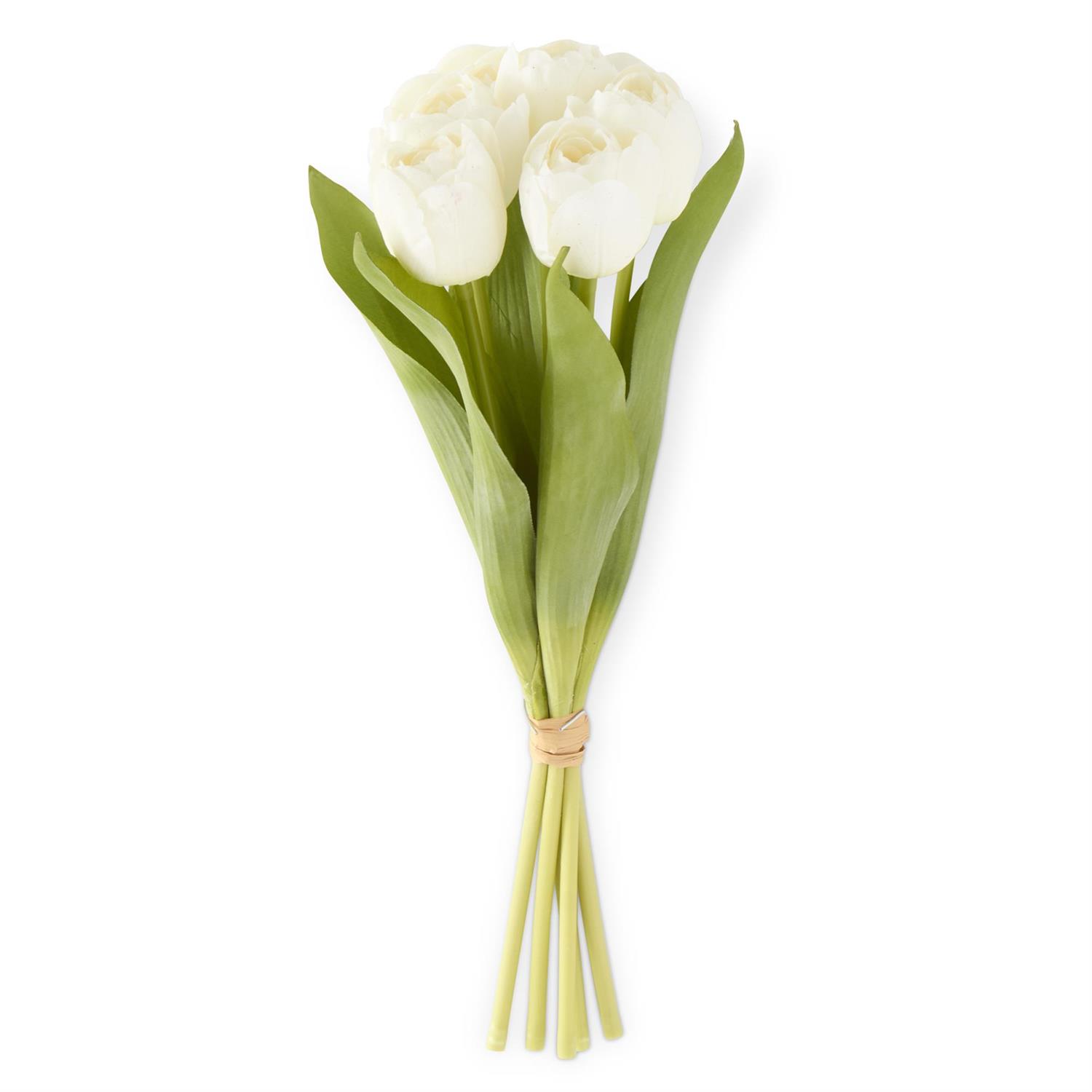 Tulips Bunch