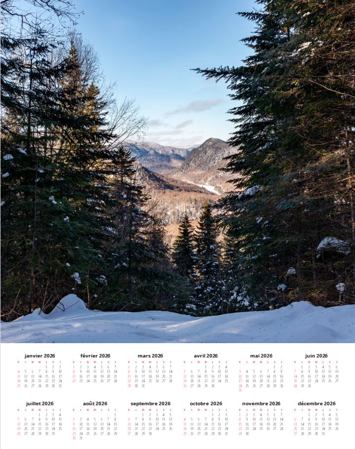 Calendrier 2026 - Affiche 11 x 14