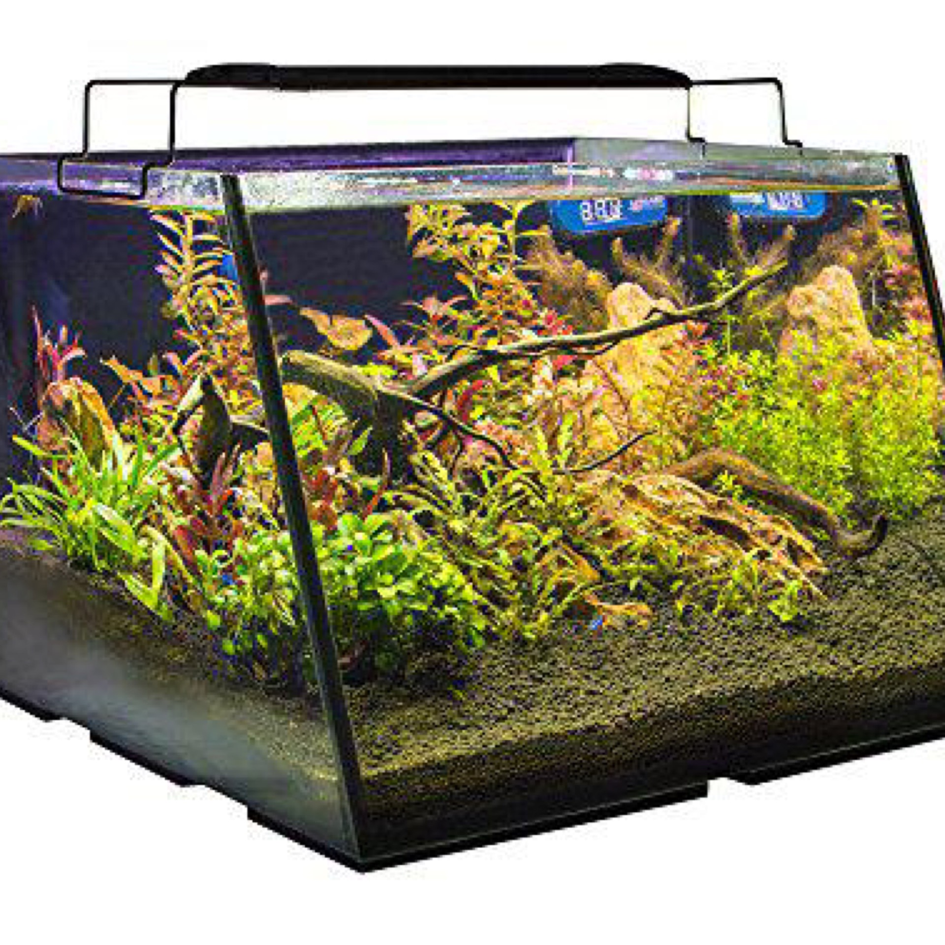 LifEGard Aquatics Full-View Aquarium with Built-In Back Filter
