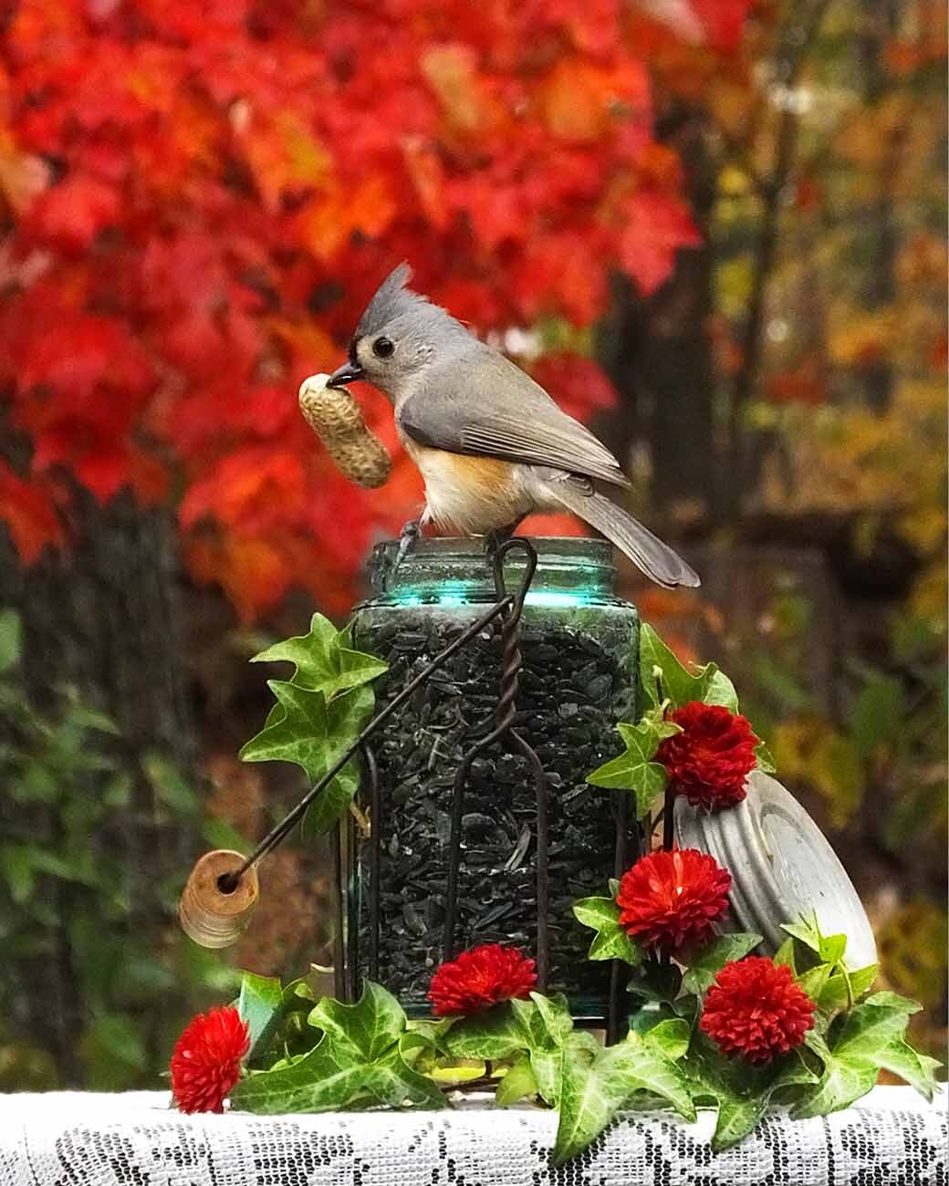 Autumn Delight