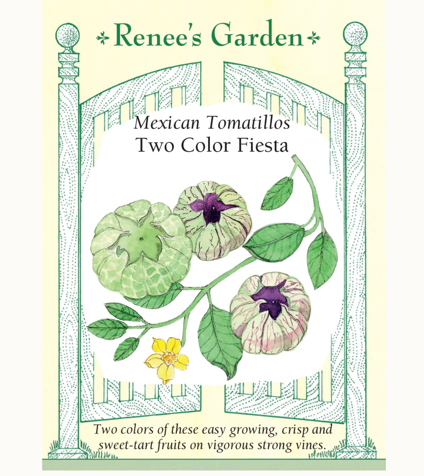 Renee's Garden | Mexican Tomatillos Two Color Fiesta