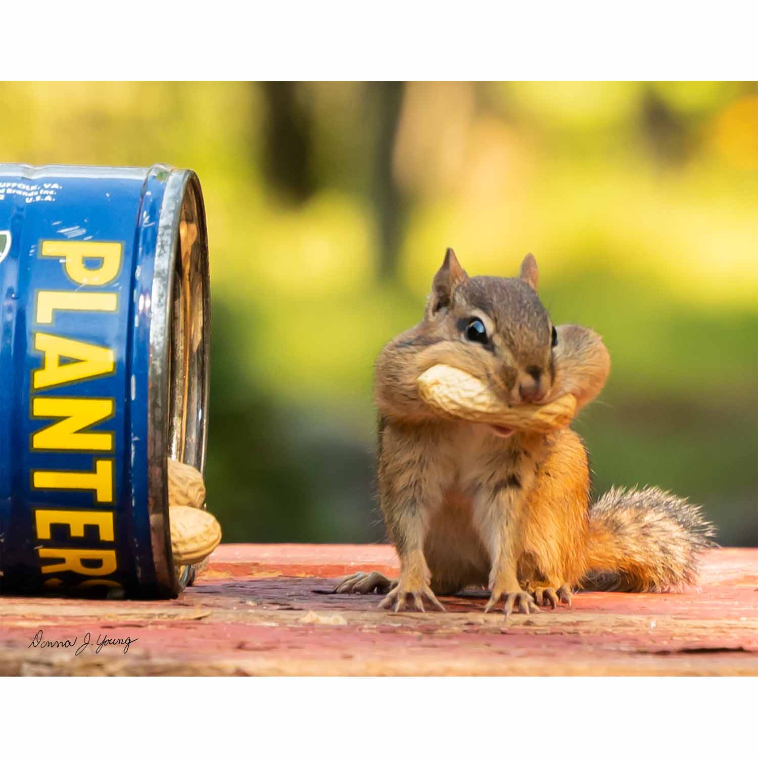 Peanutty Smile