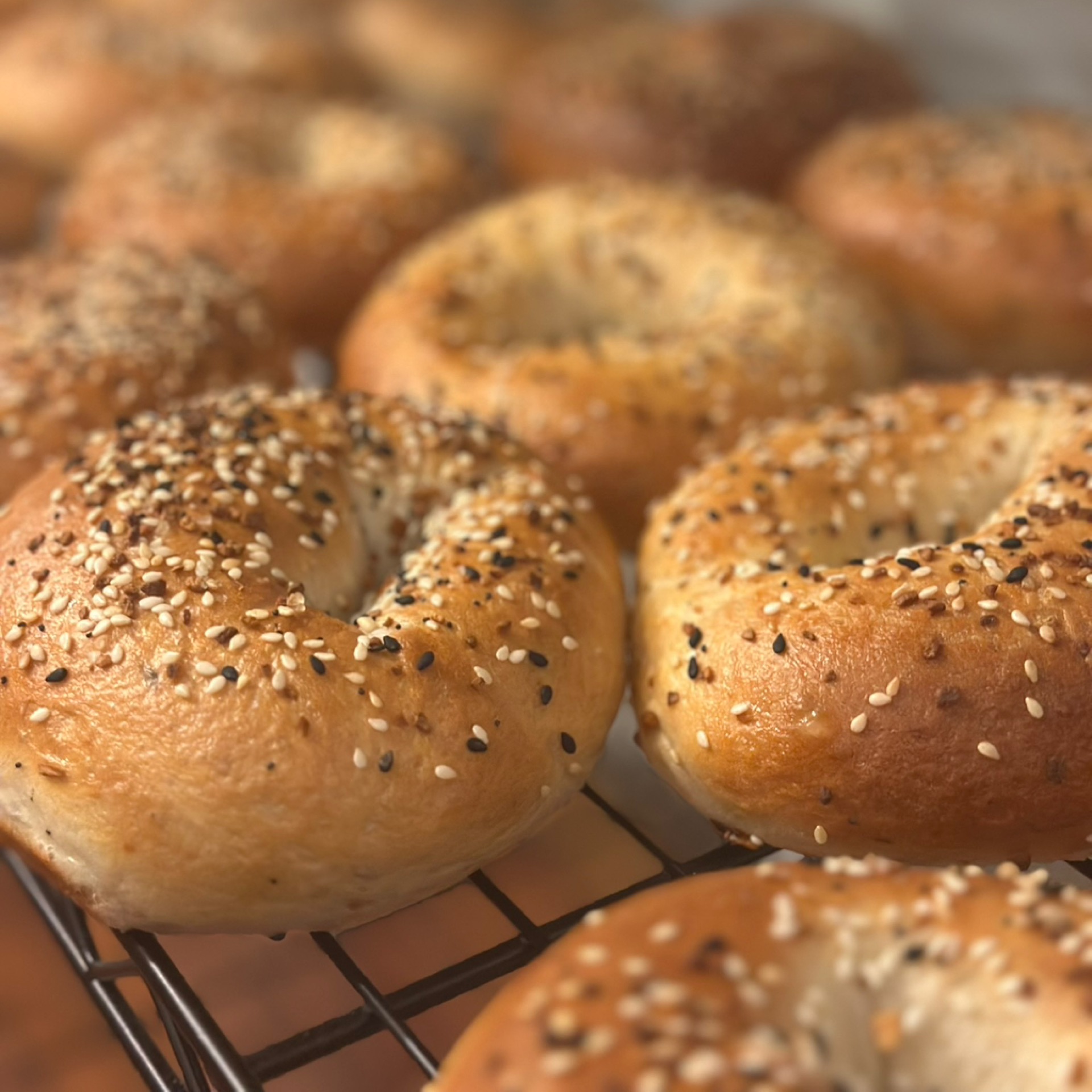 Photo of Everything bagels