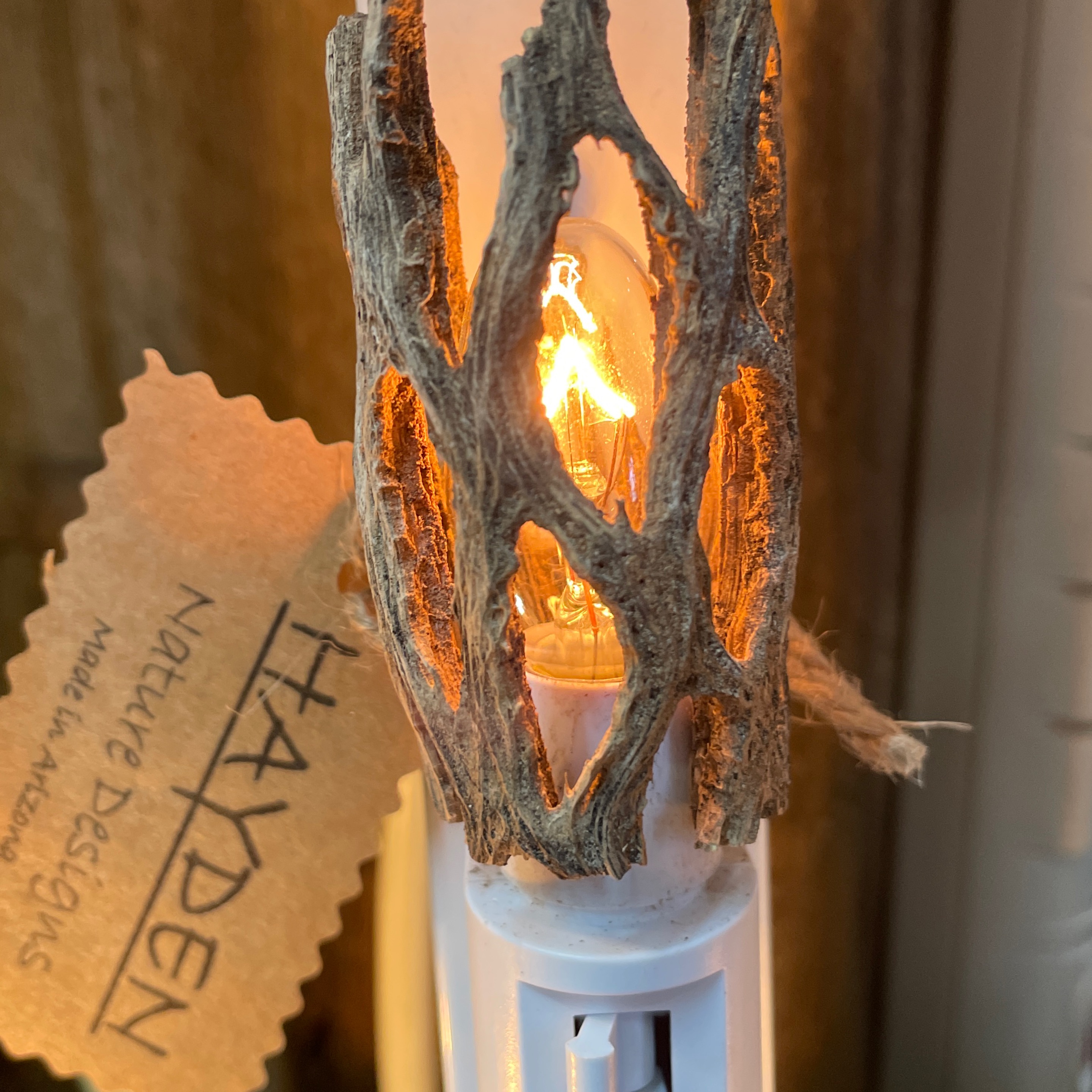 Cholla Cactus Night Light