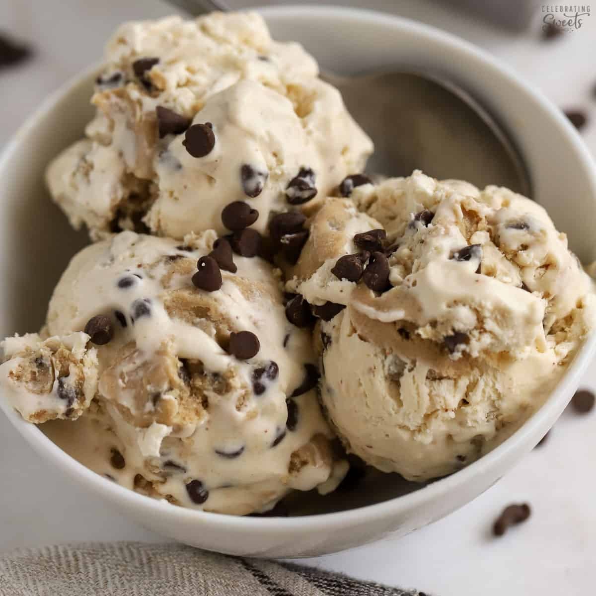Chocolate Chip Ice Cream