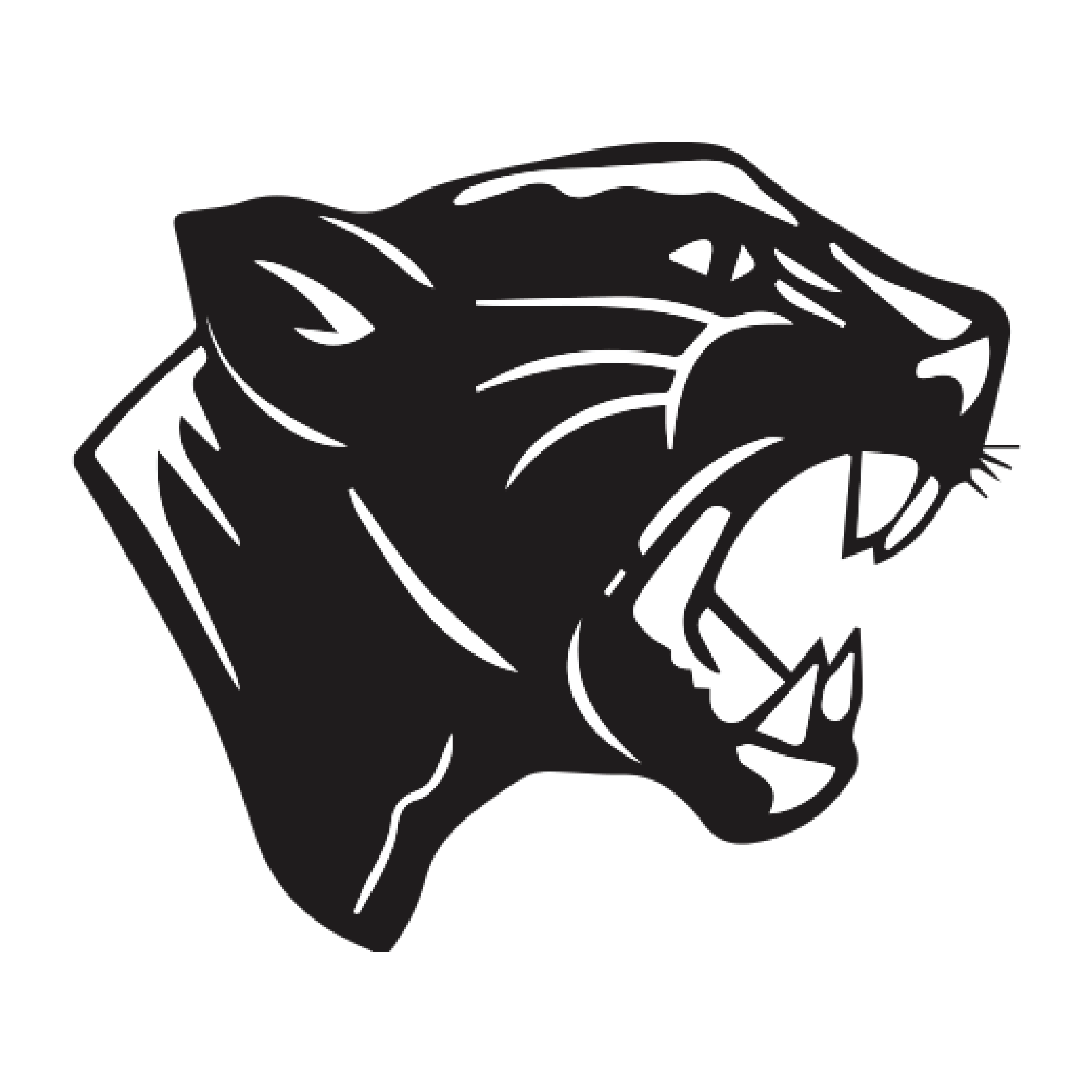 Griffith High School Affiliate Sponsorship