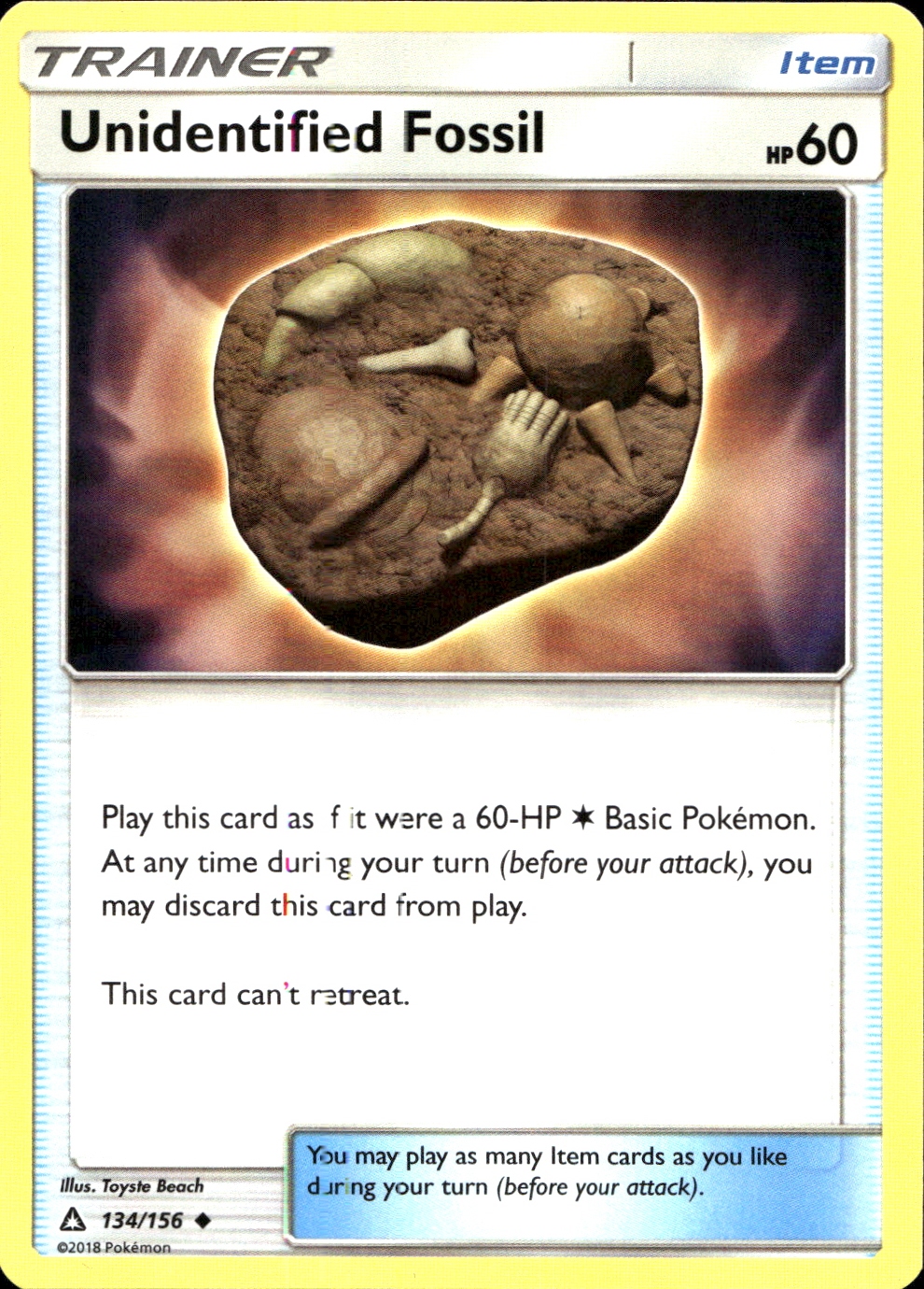 Unidentified Fossil - SM5 134